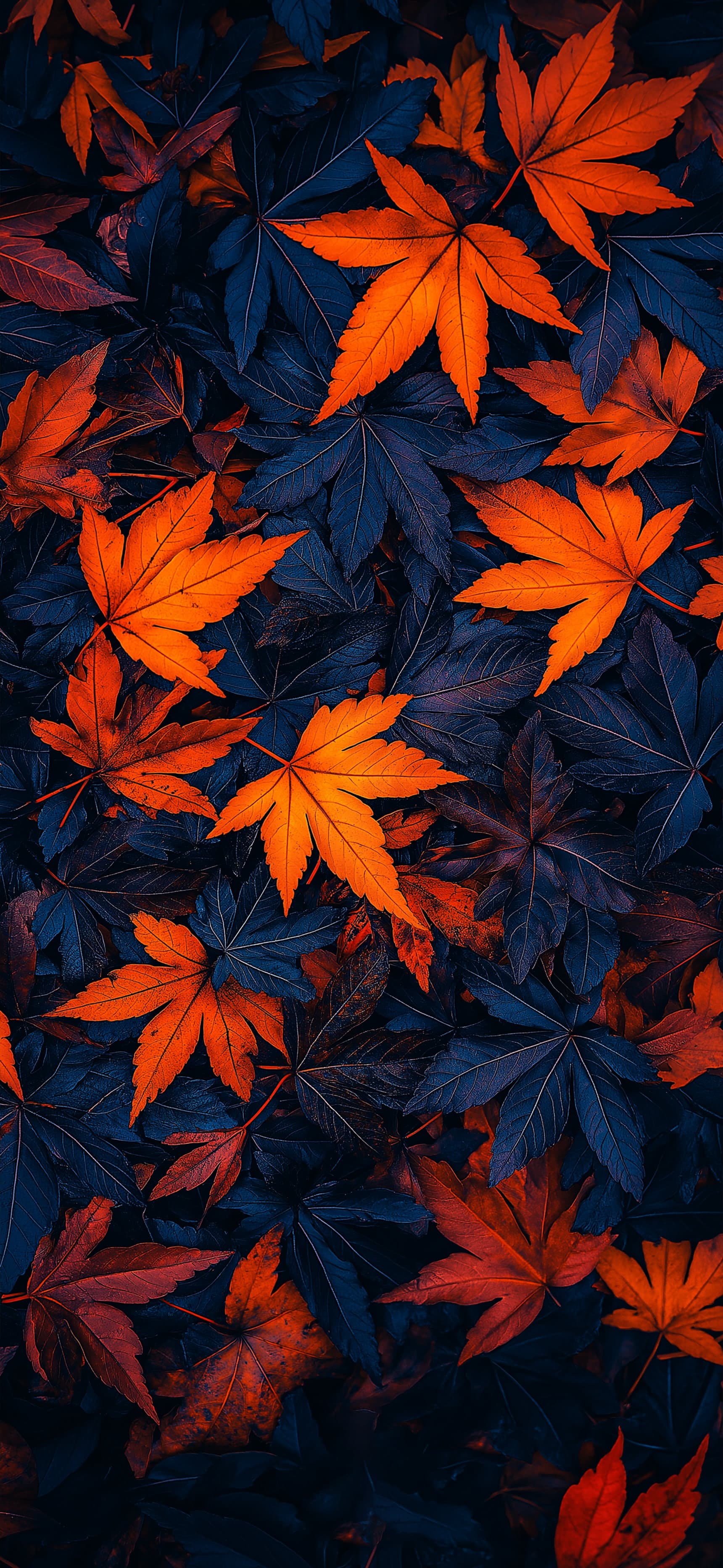 Crimson Blaze - Pro phone wallpaper