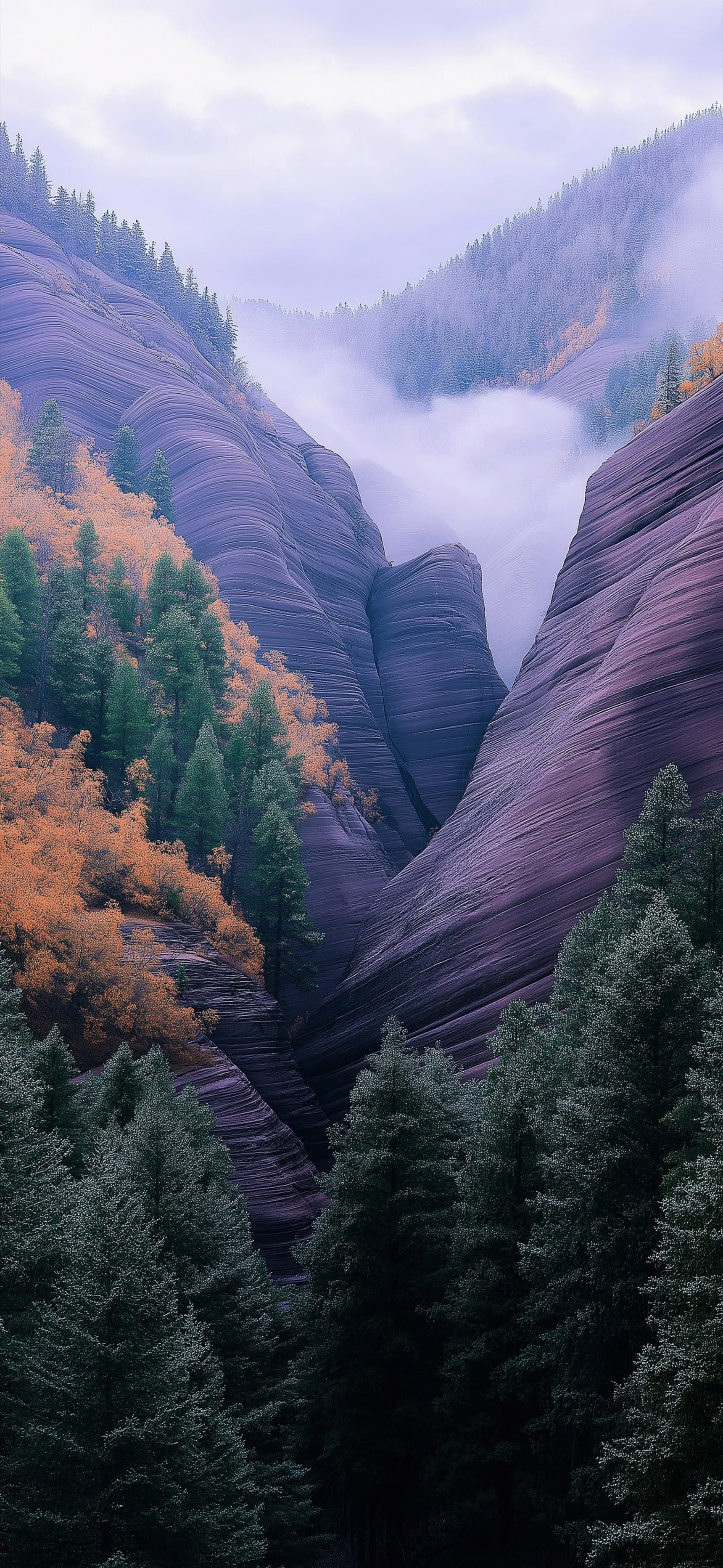 Painted Layers - Pro phone wallpaper