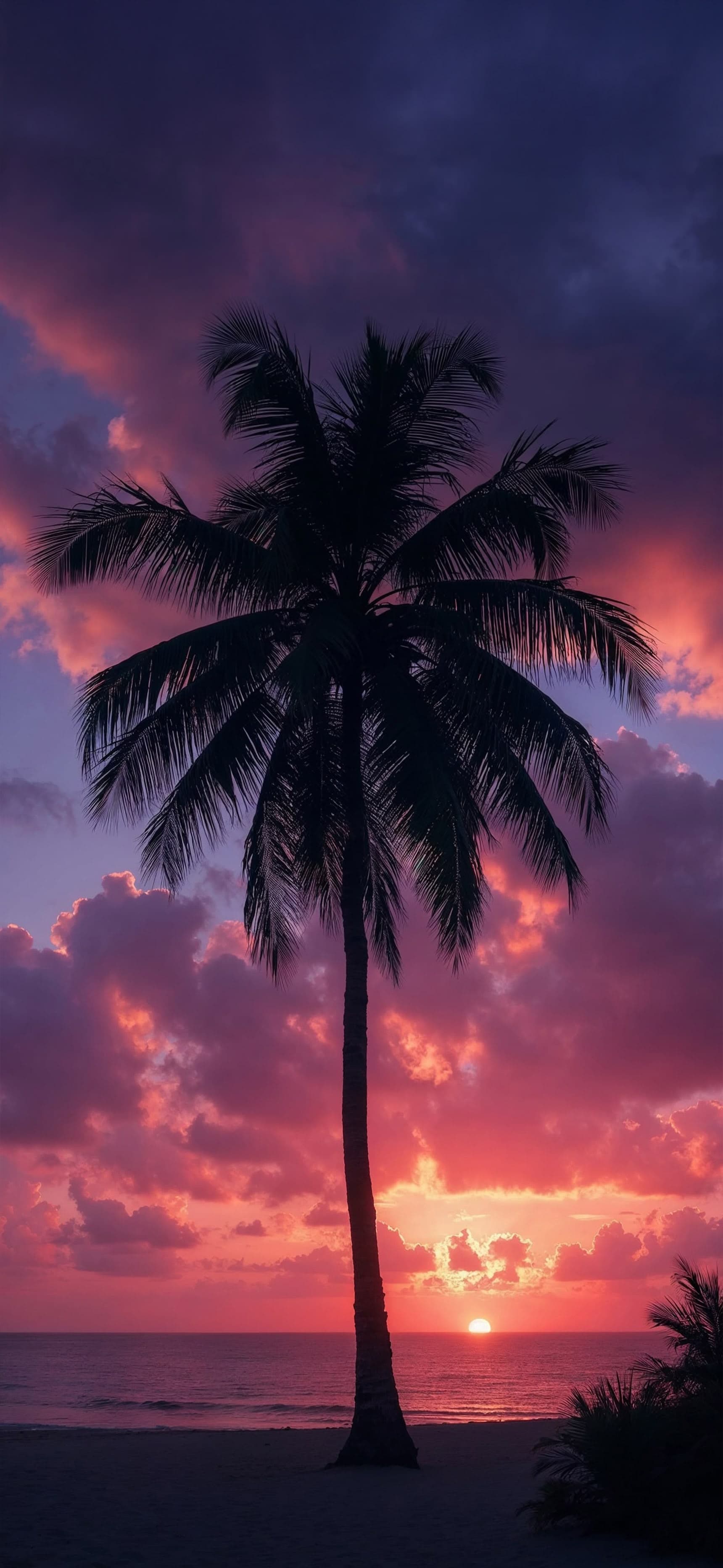 Tropical Sunset Glow - Pro phone wallpaper