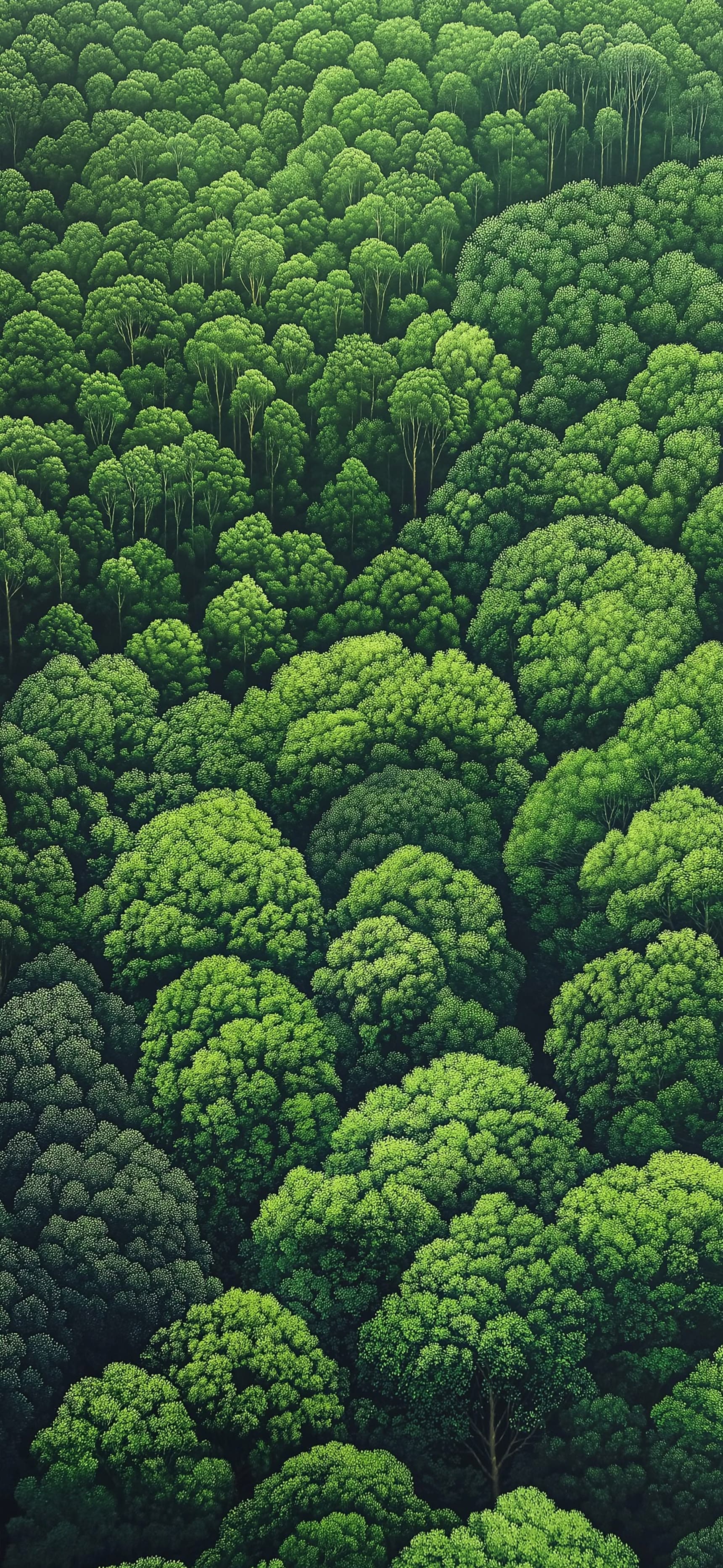 Lush Green Forest - Pro phone wallpaper