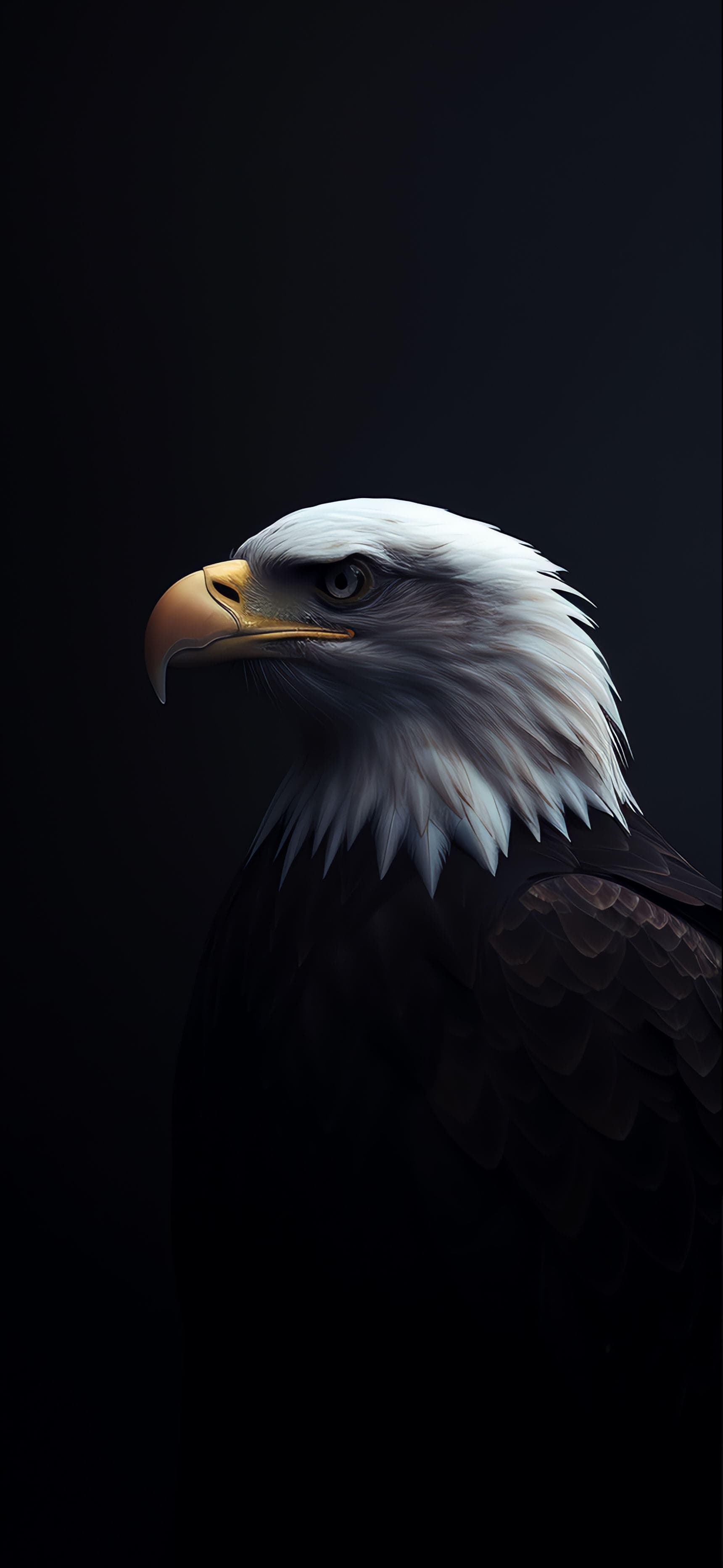 Bald Eagle Portrait - Pro phone wallpaper