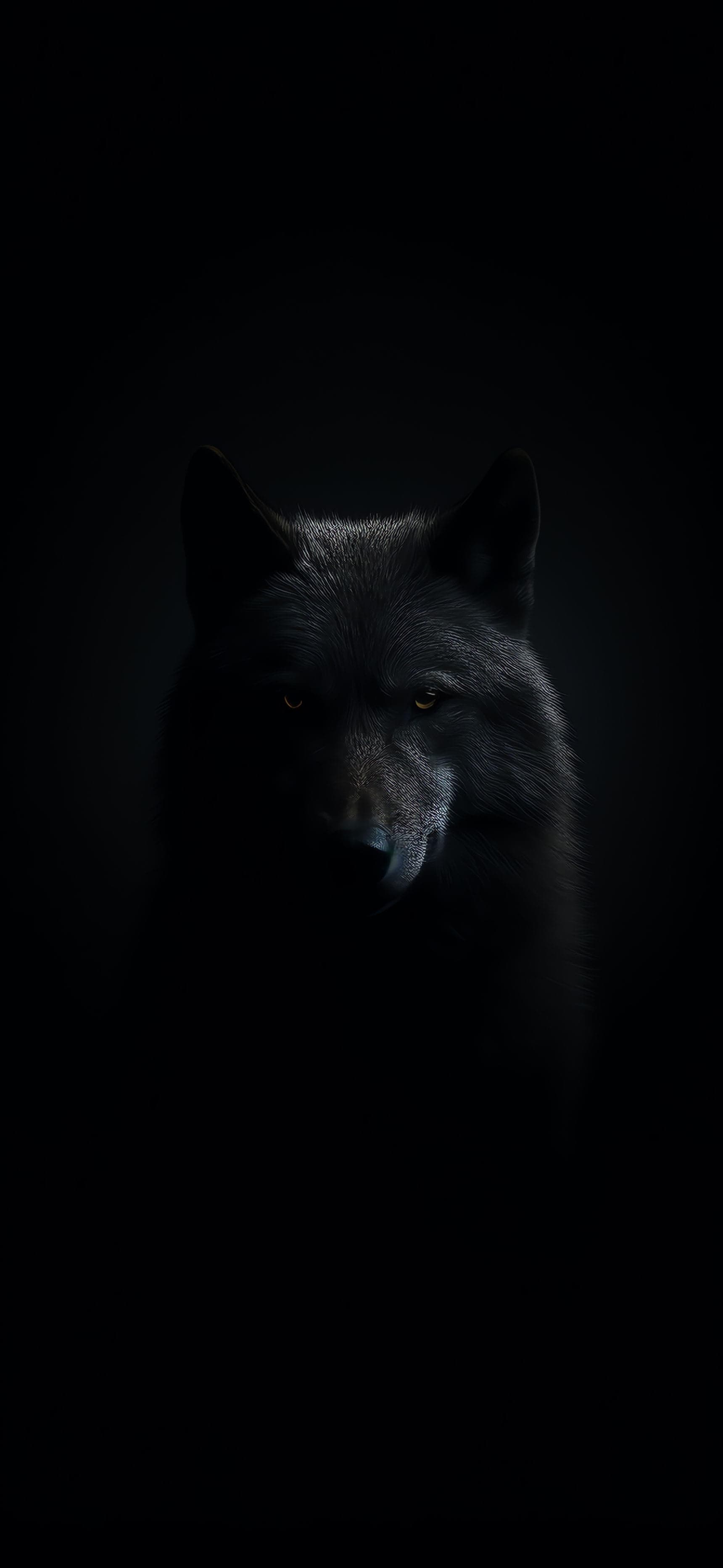 Shadow Wolf Gaze - Pro phone wallpaper