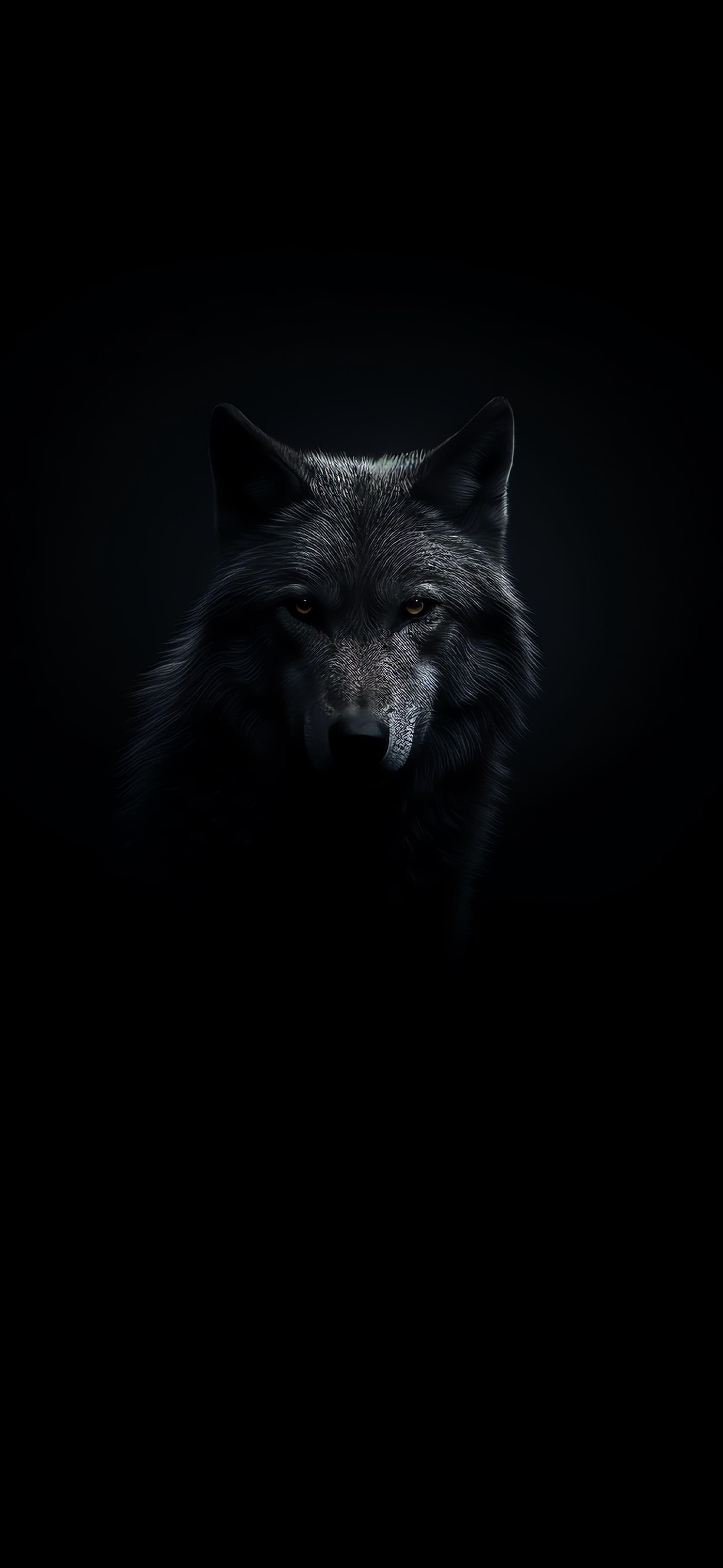 Dark Wolf Stare - Pro phone wallpaper