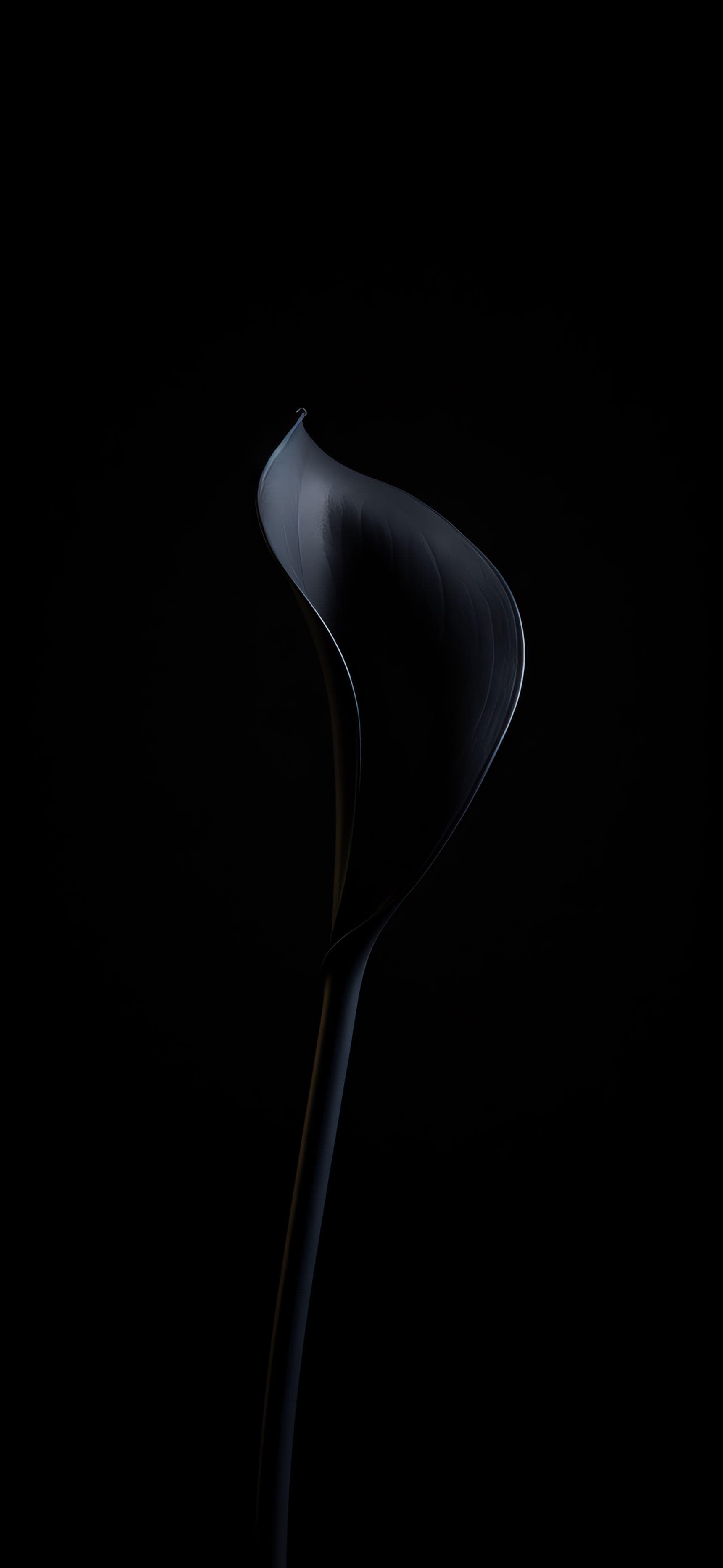 Monochrome Lily Curve - Pro phone wallpaper