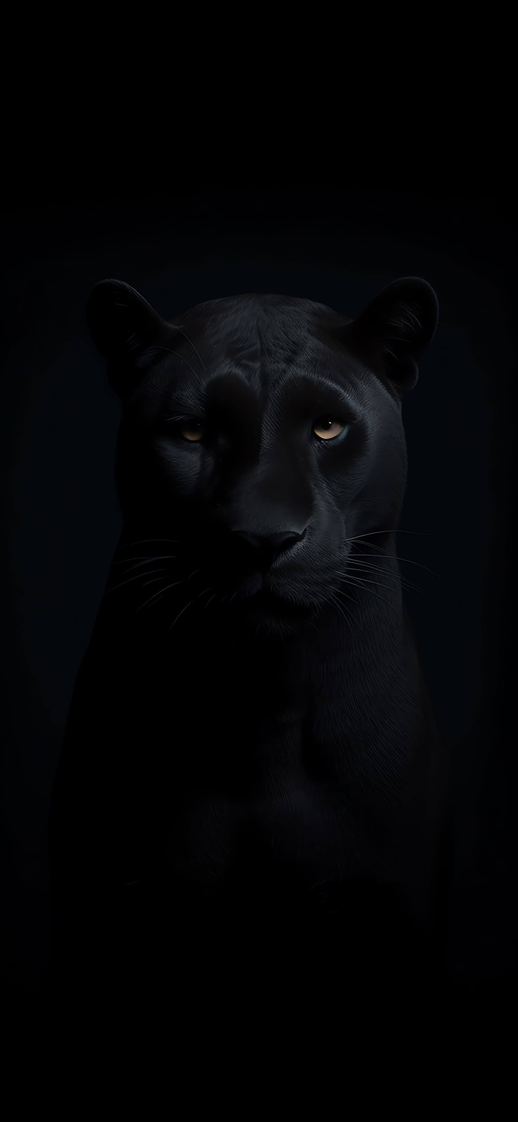 Black Panther - Pro phone wallpaper