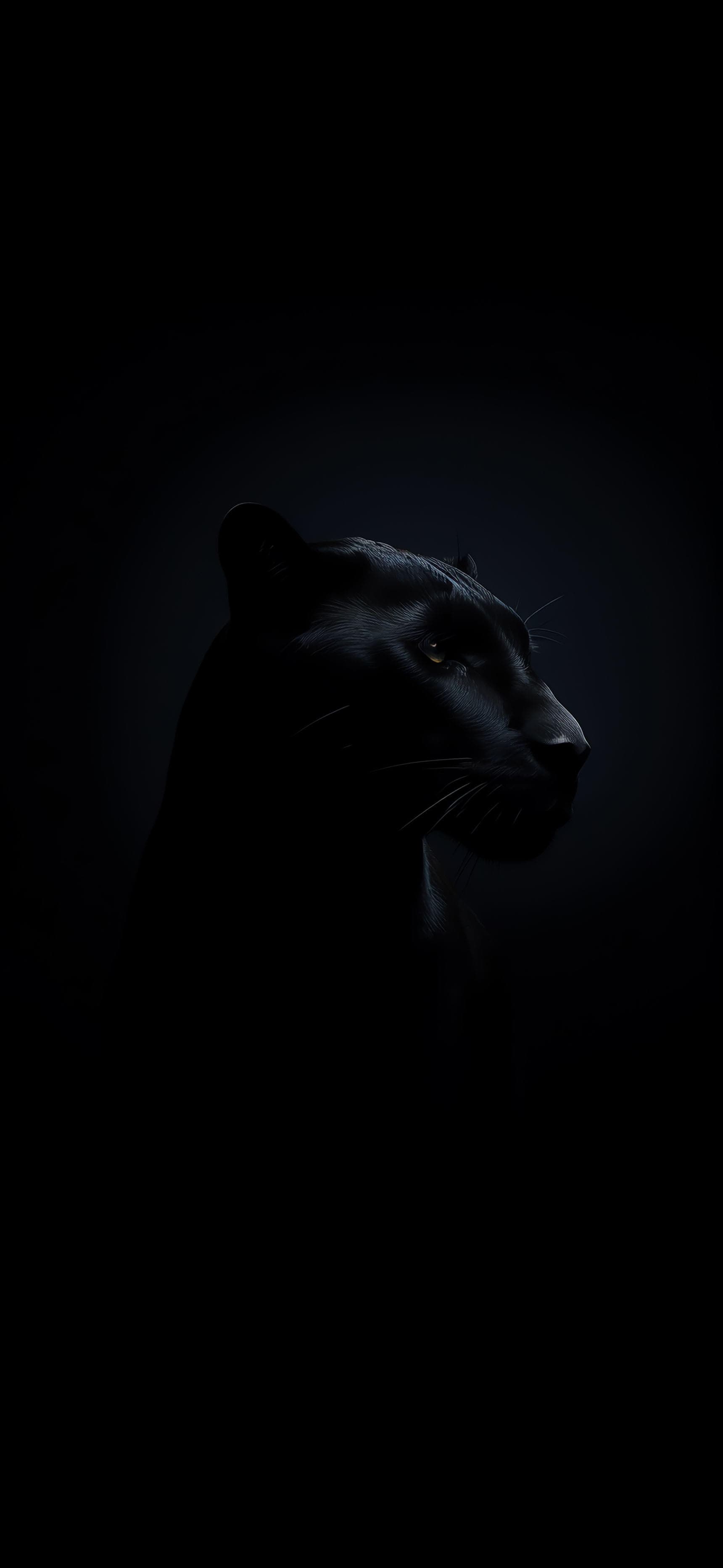 Shadow Panther - Pro phone wallpaper