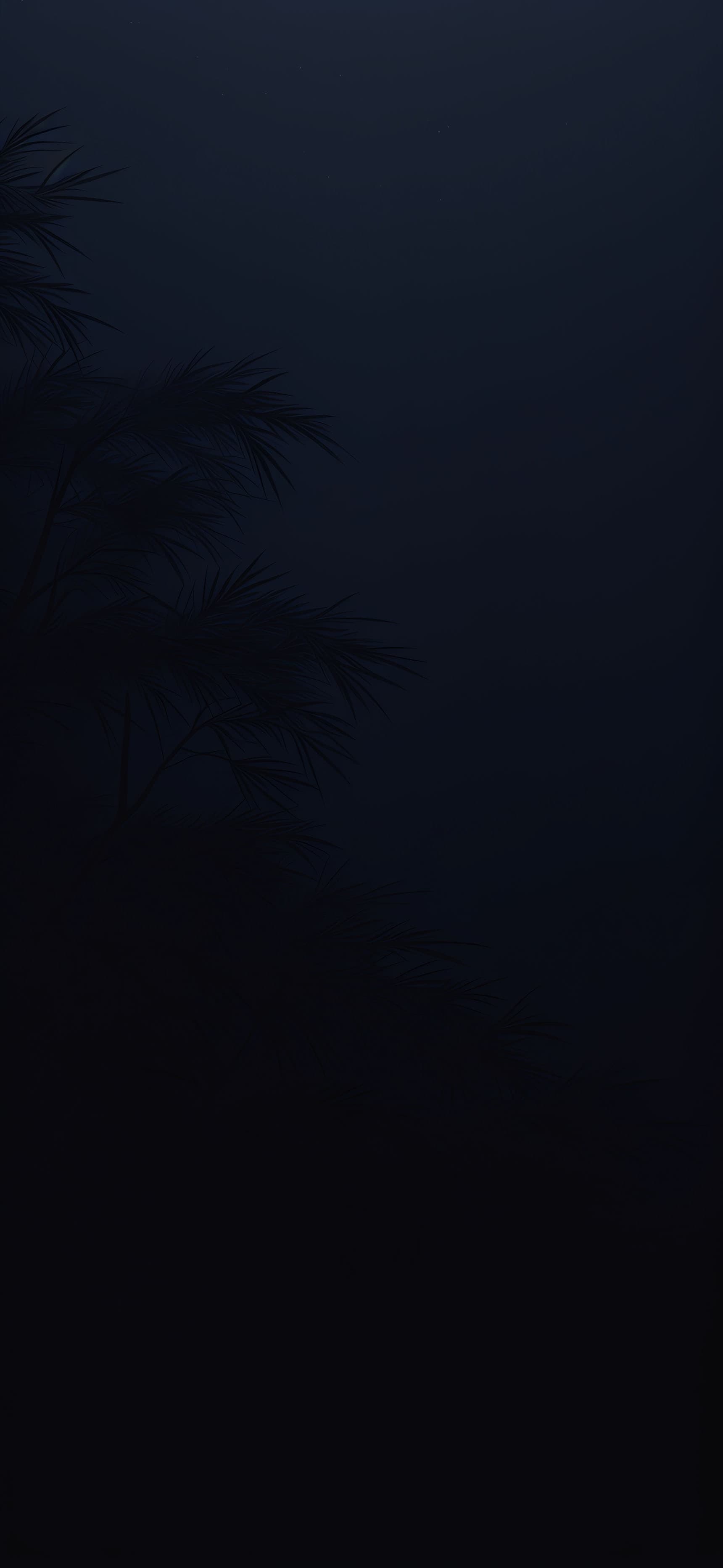 Dark Reeds - Pro phone wallpaper