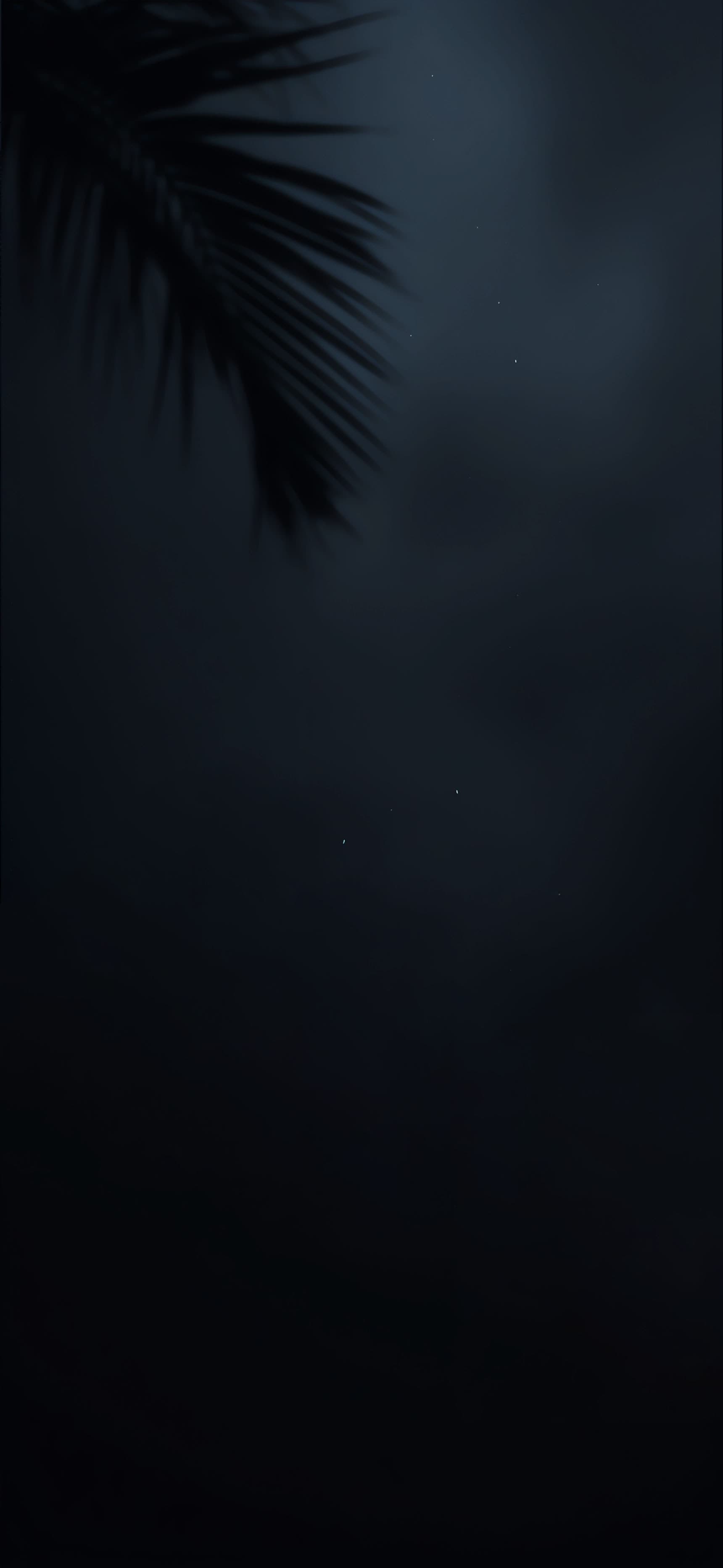 Midnight Palm - Pro phone wallpaper