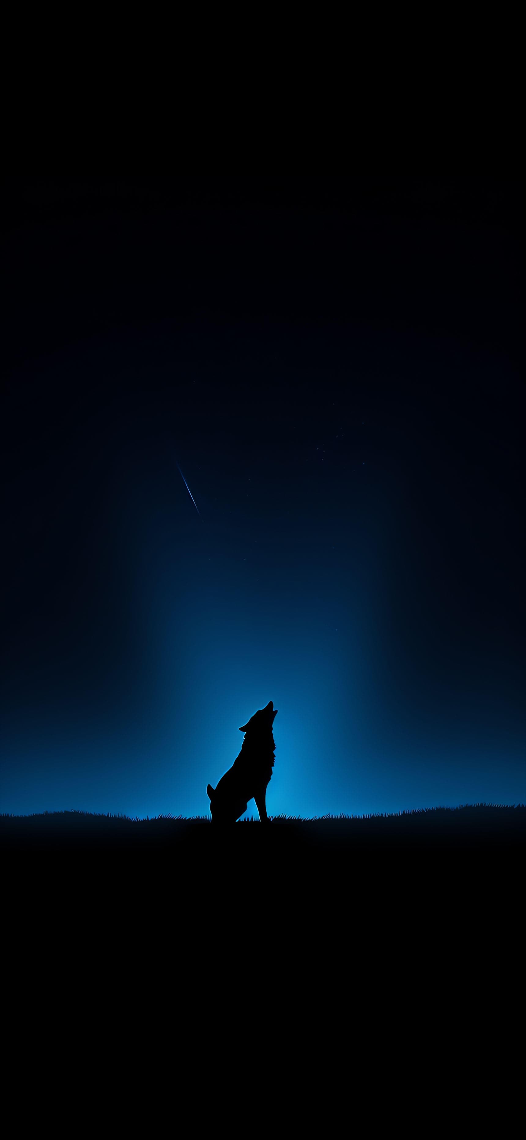Lone Wolf - Pro phone wallpaper