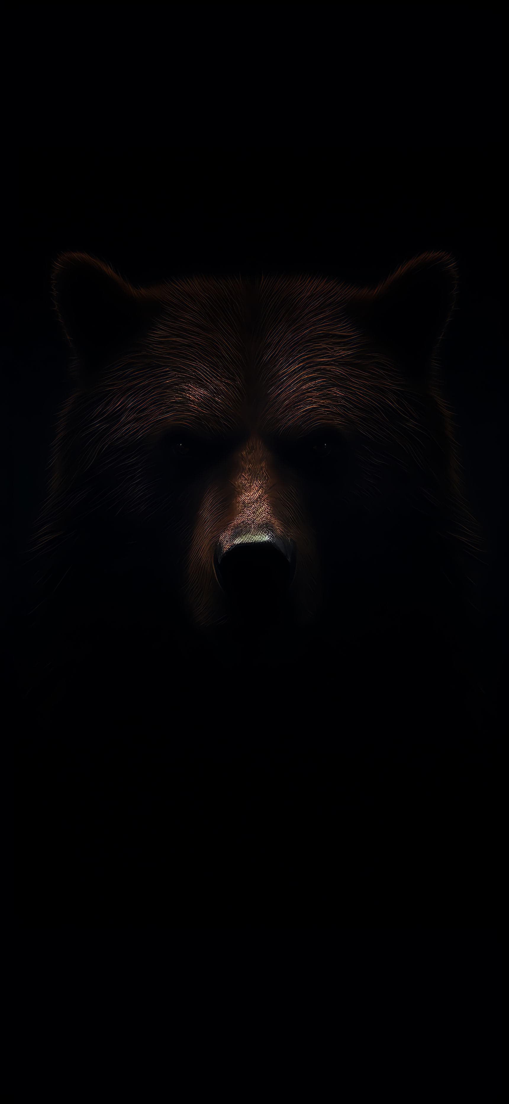 Dark Bear - Pro phone wallpaper