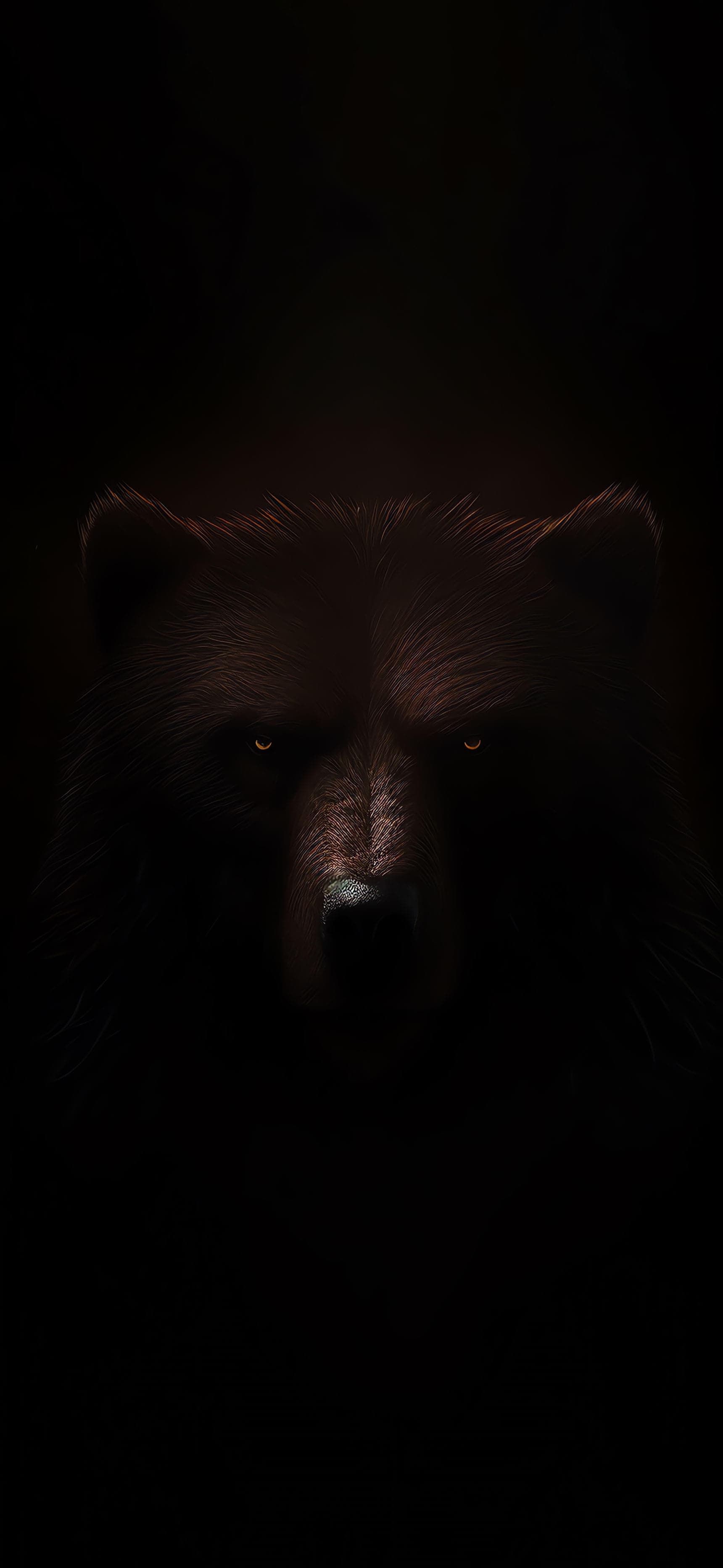 Bear's Dark Stare - Pro phone wallpaper