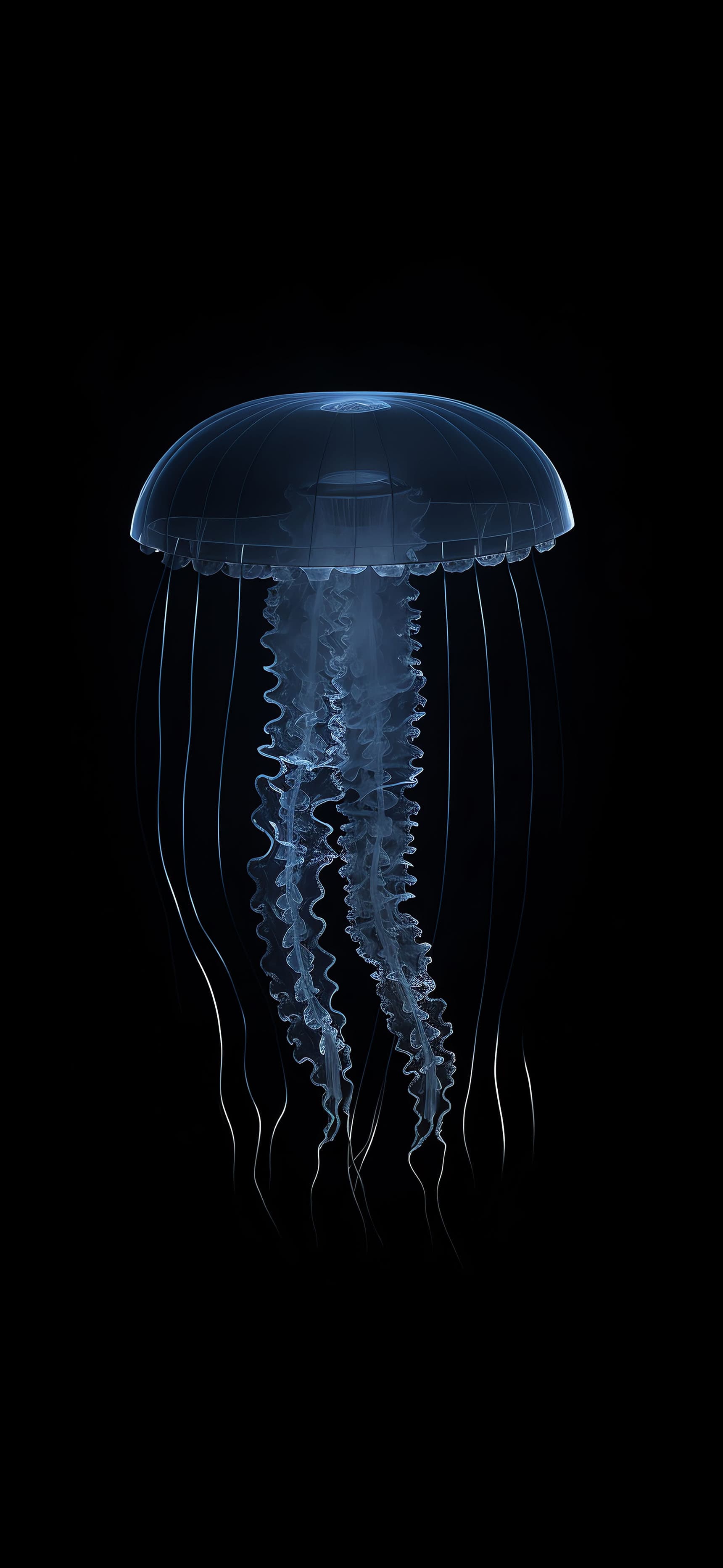 Deep Sea Jellyfish - Pro phone wallpaper