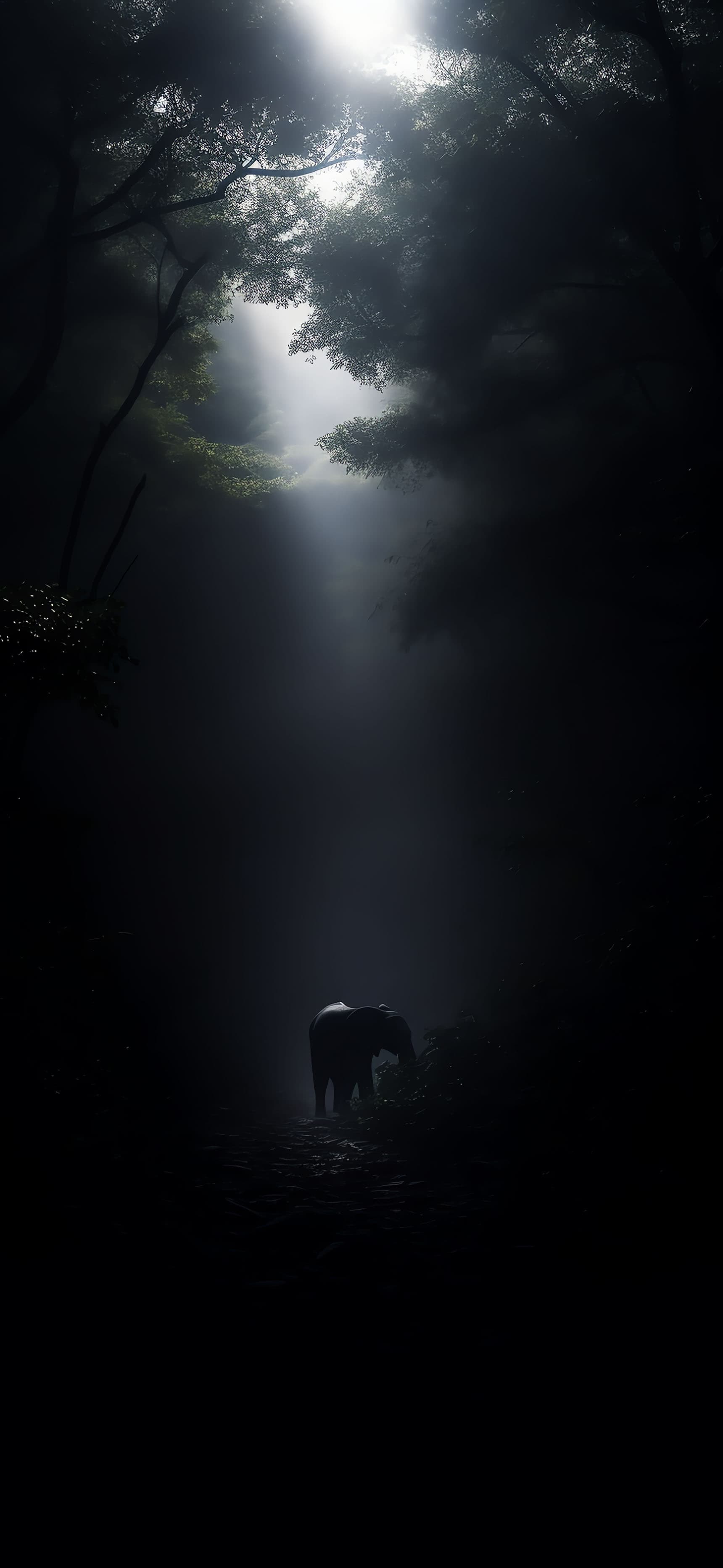 Misty Forest Elephant - Pro phone wallpaper