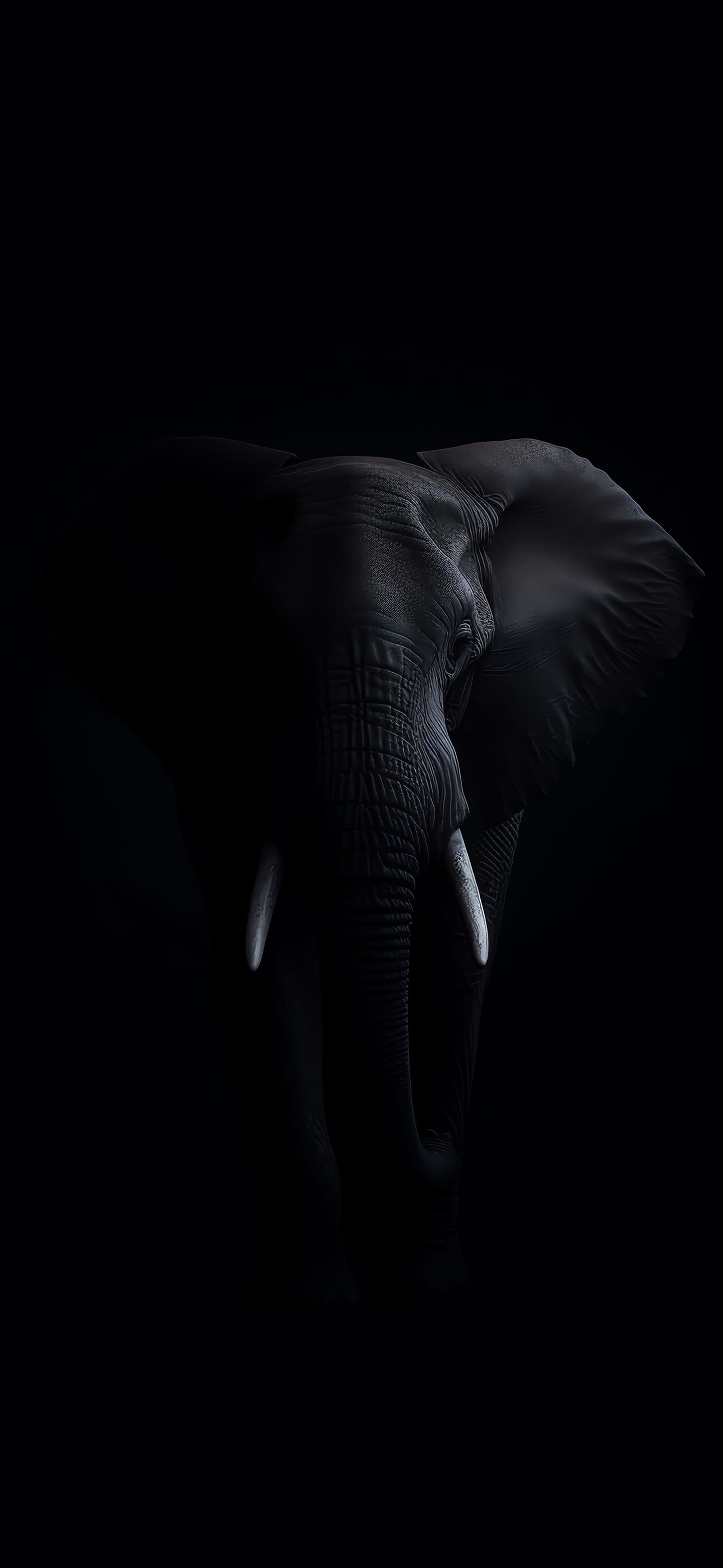 Ebony Elephant Portrait - Pro phone wallpaper