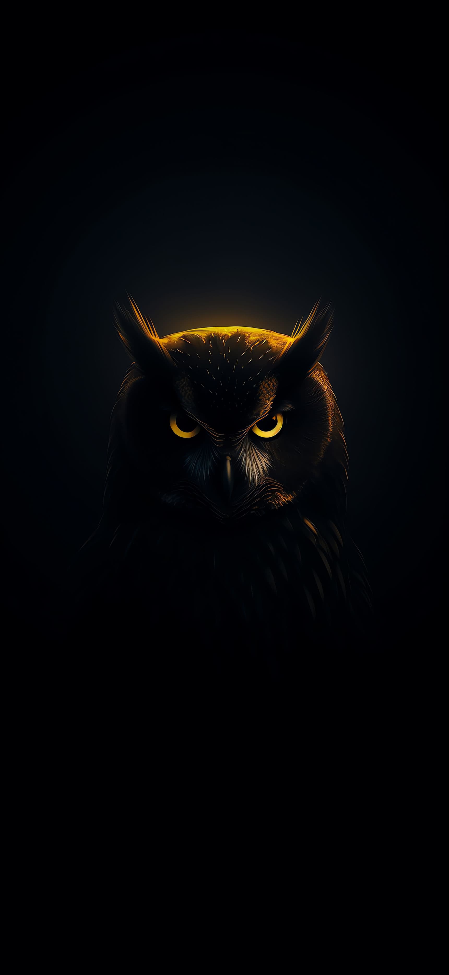 Nocturnal Owl Gaze - Pro phone wallpaper
