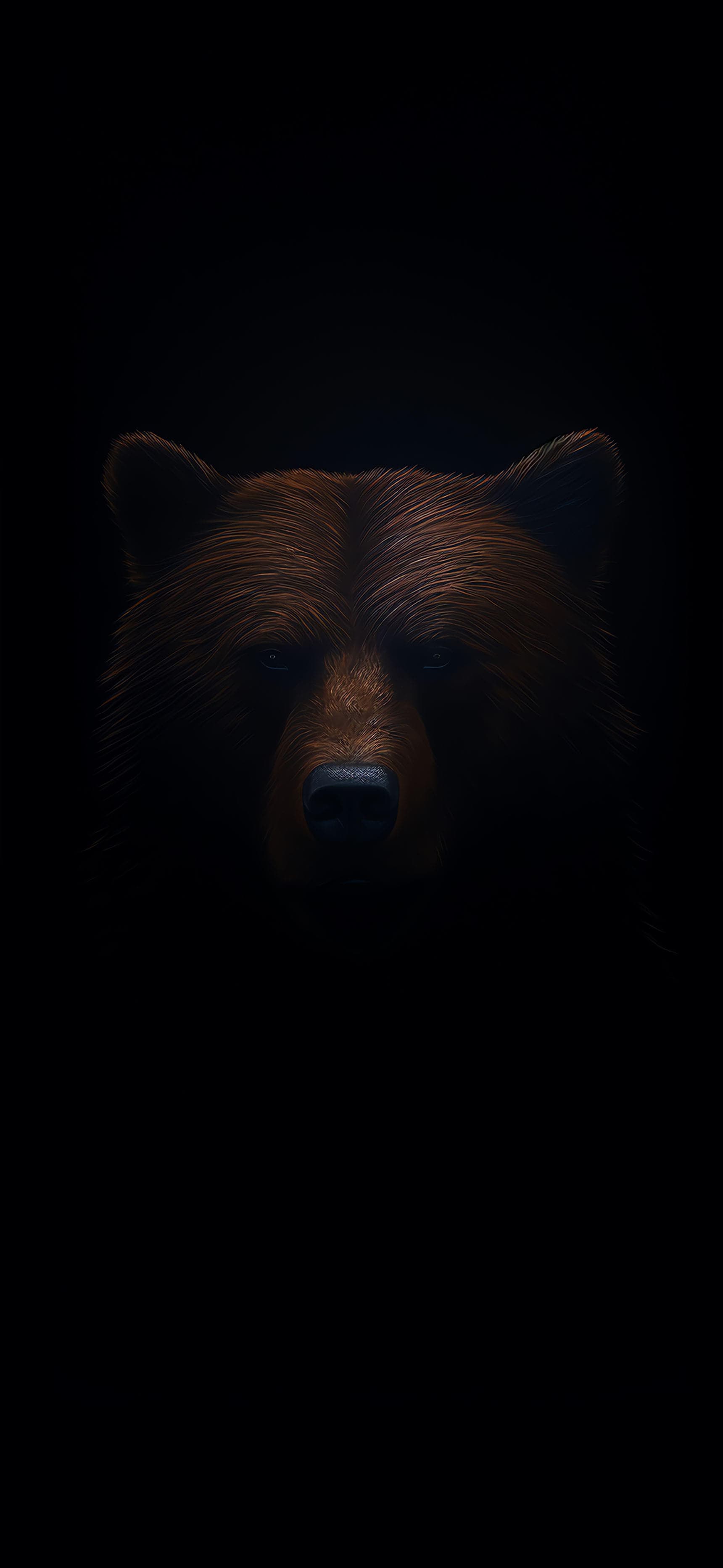 Dark Bear Portrait - Pro phone wallpaper