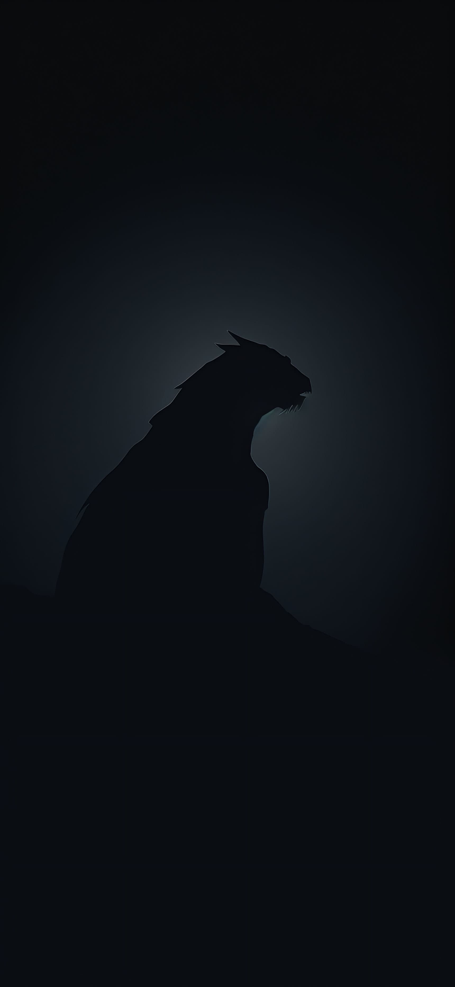 Dark Dragon Silhouette - Pro phone wallpaper