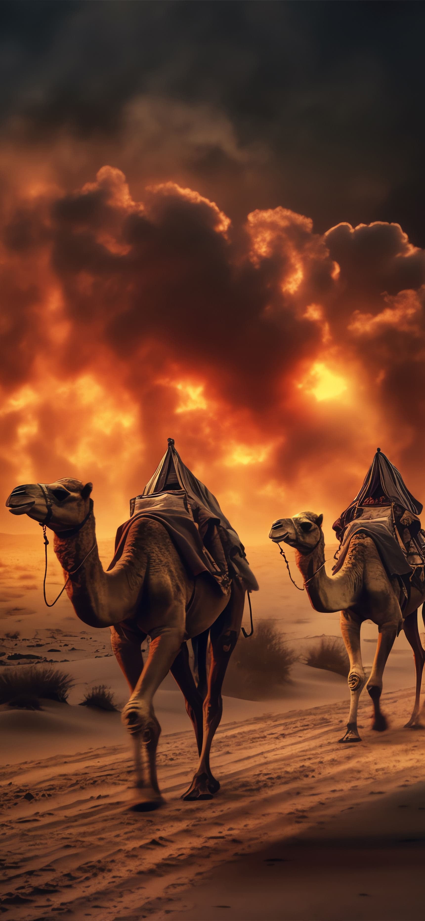 Desert Caravan Sunset - Pro phone wallpaper