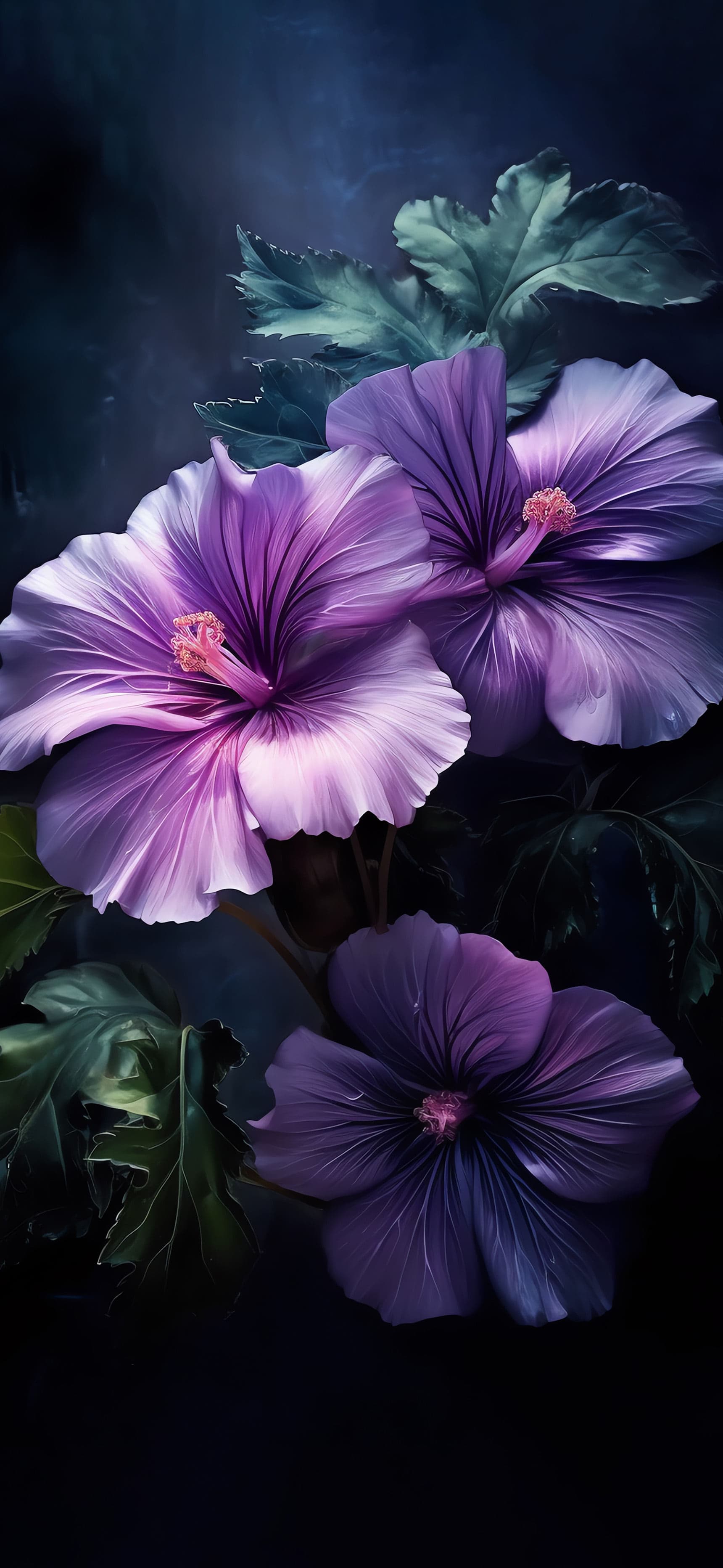 Purple Hibiscus Bloom - Pro phone wallpaper