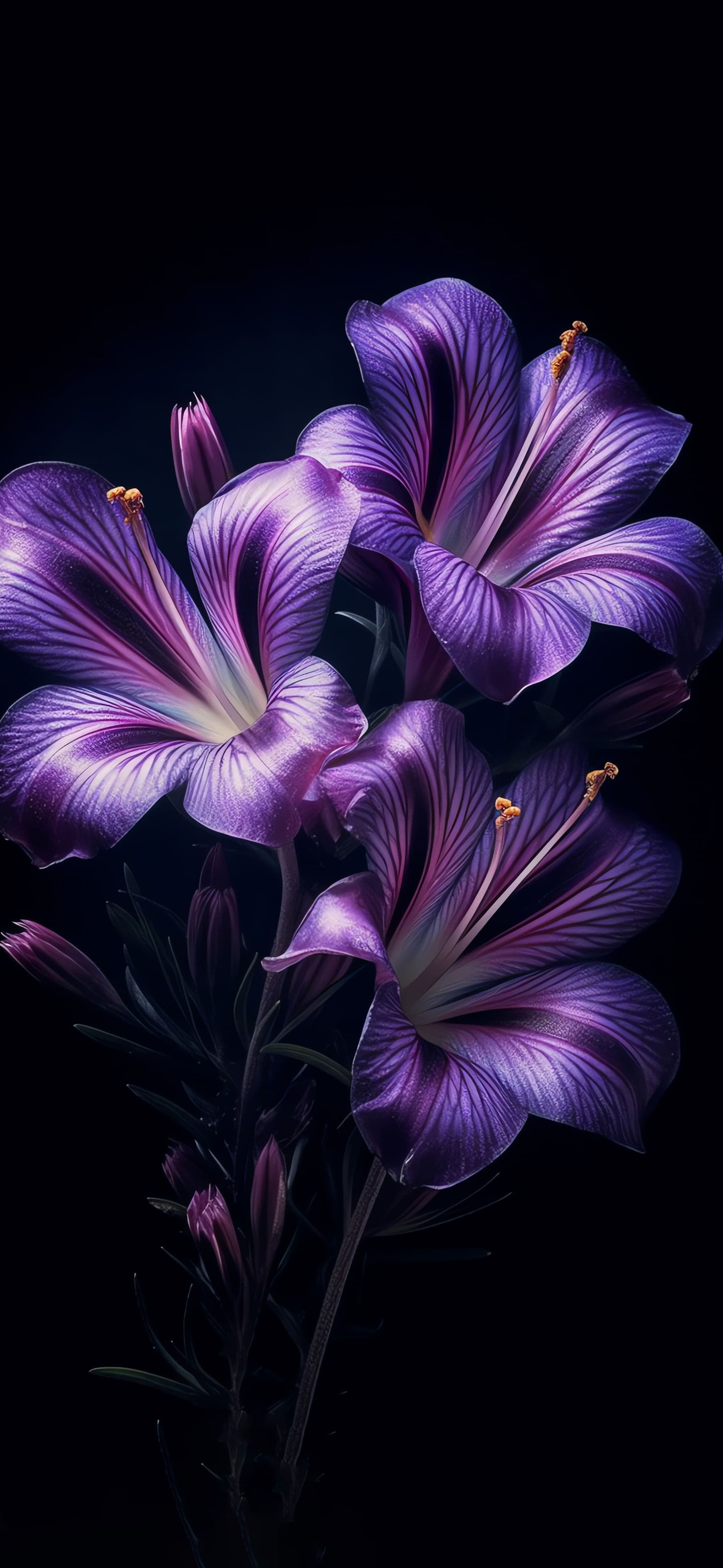 Purple Floral Bloom - Pro phone wallpaper