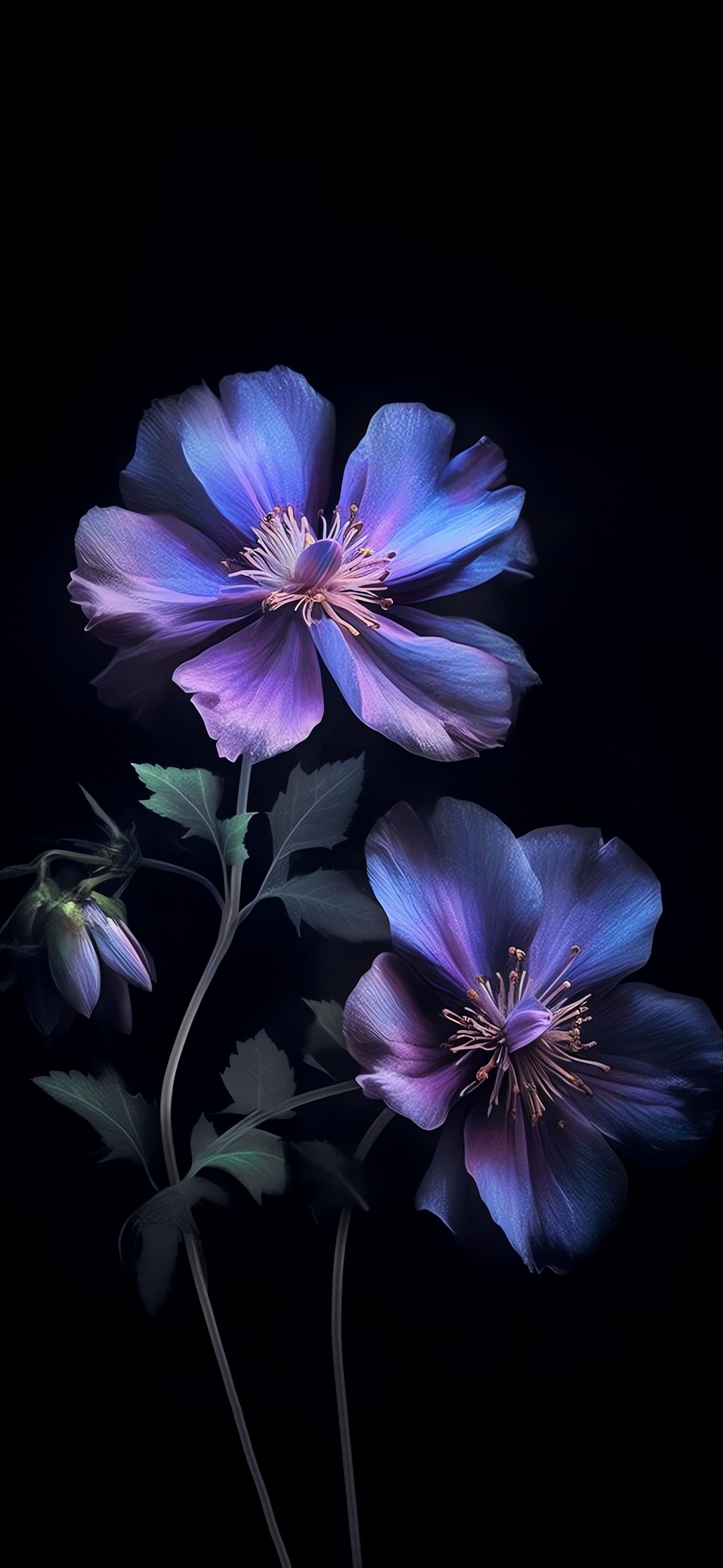 Floral Dark Bloom - Pro phone wallpaper