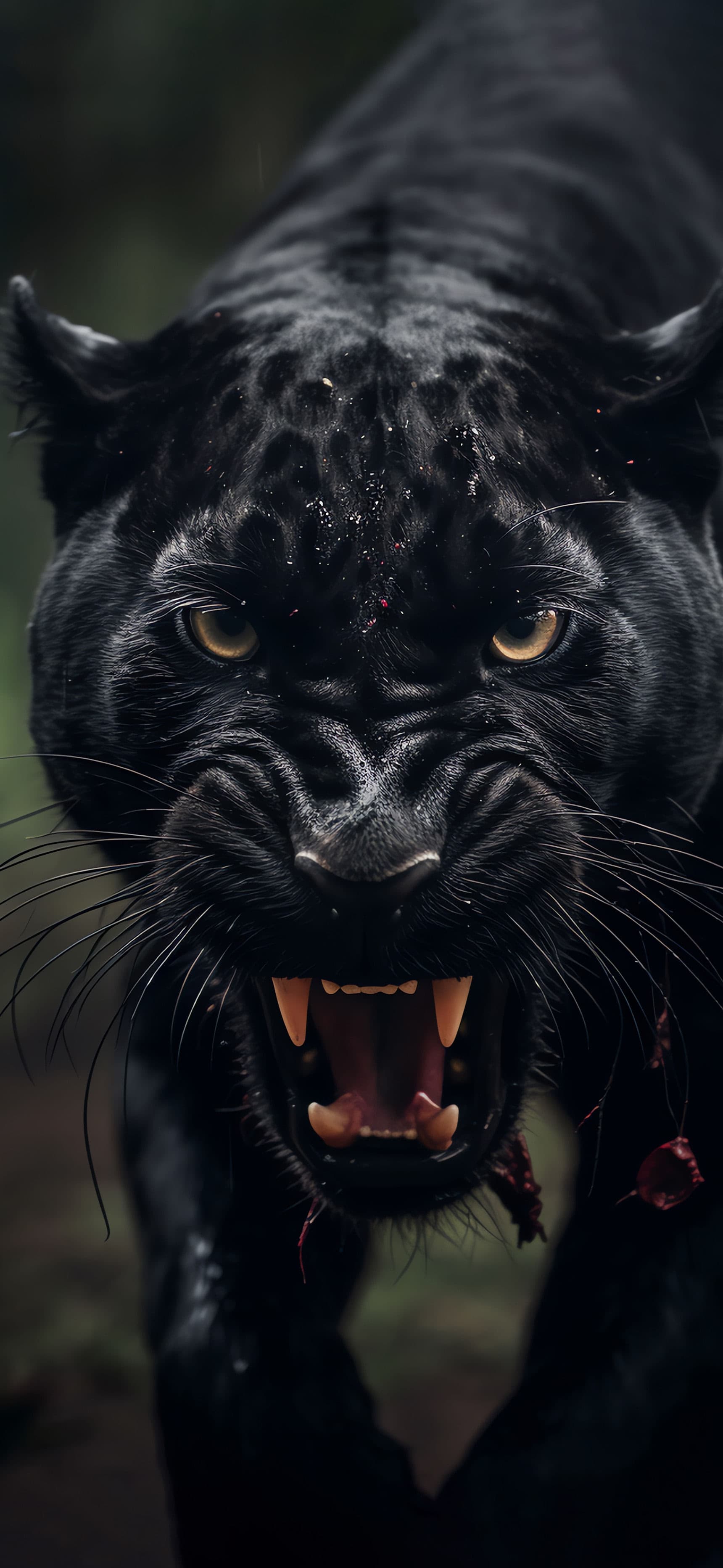 Fierce Panther - Pro phone wallpaper