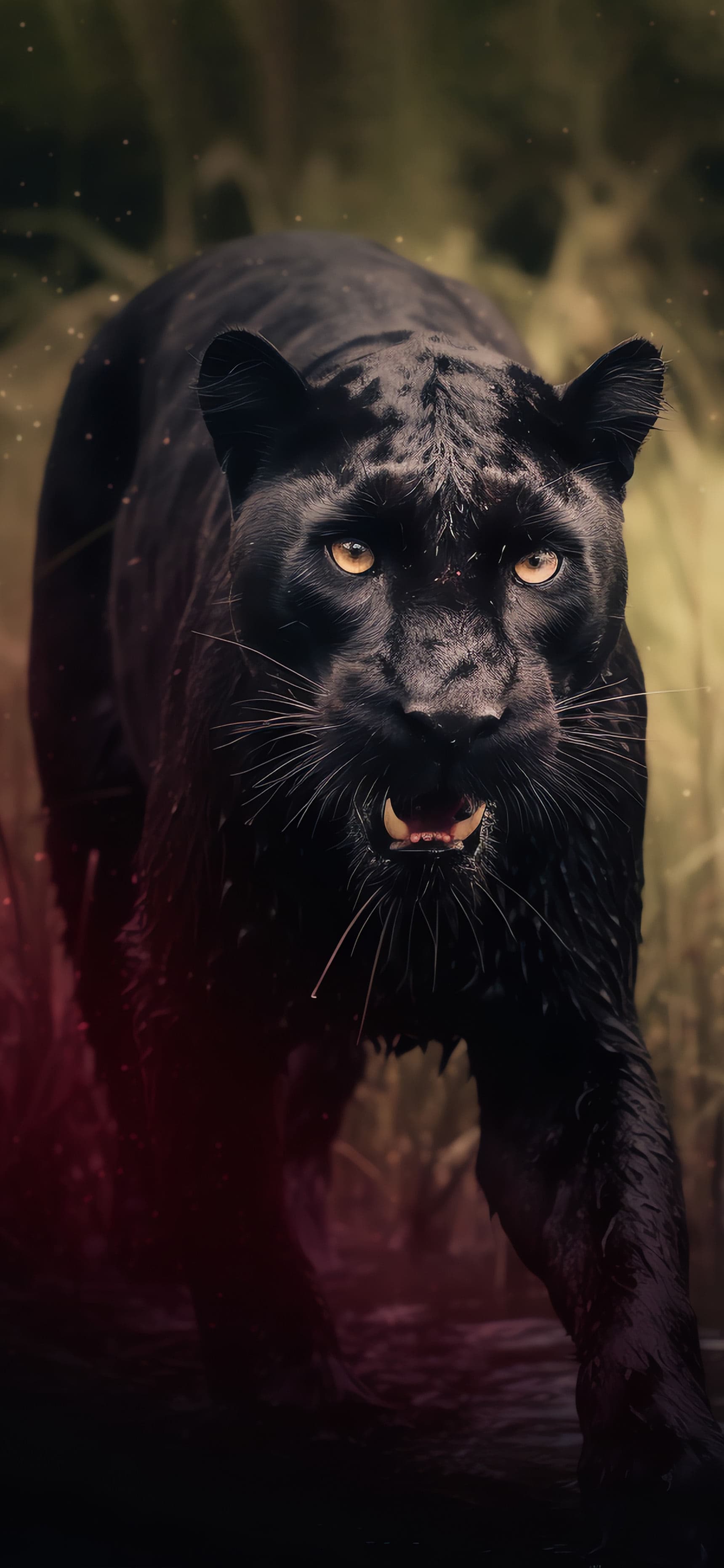 Stealthy Black Panther - Pro phone wallpaper