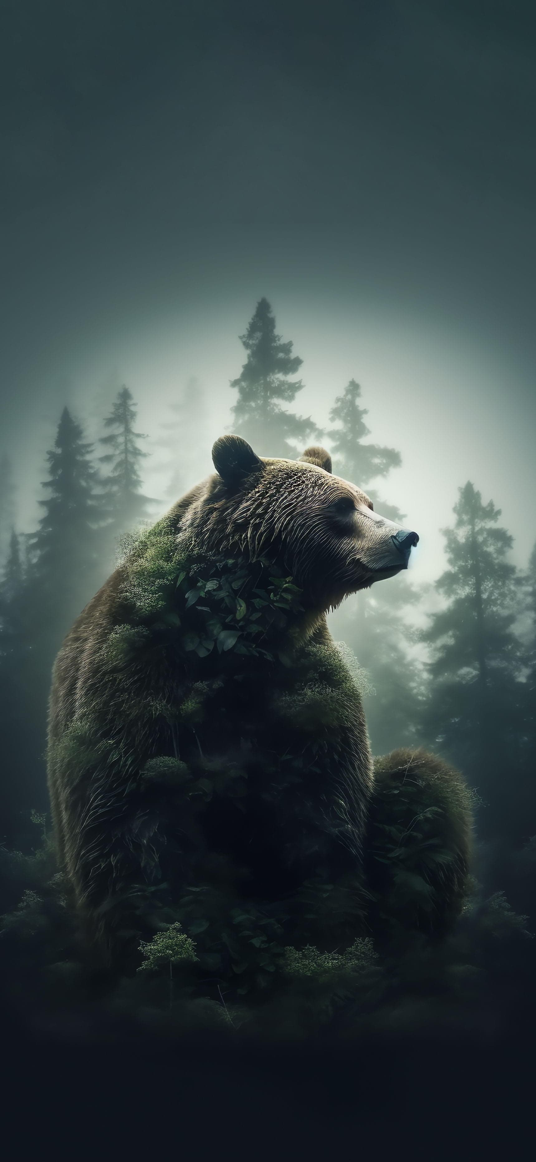 Mossy Forest Bear - Pro phone wallpaper