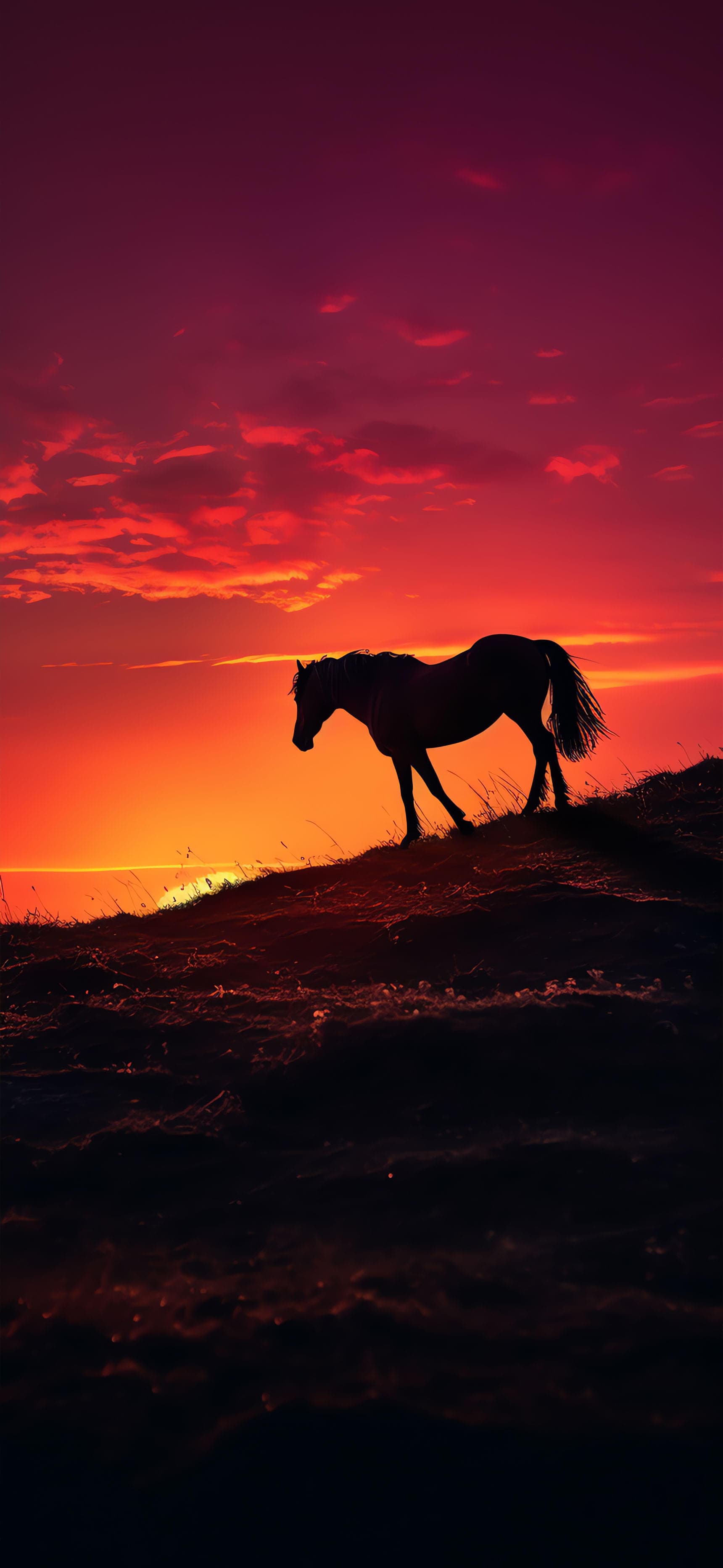 Sunset Horse Silhouette - Pro phone wallpaper