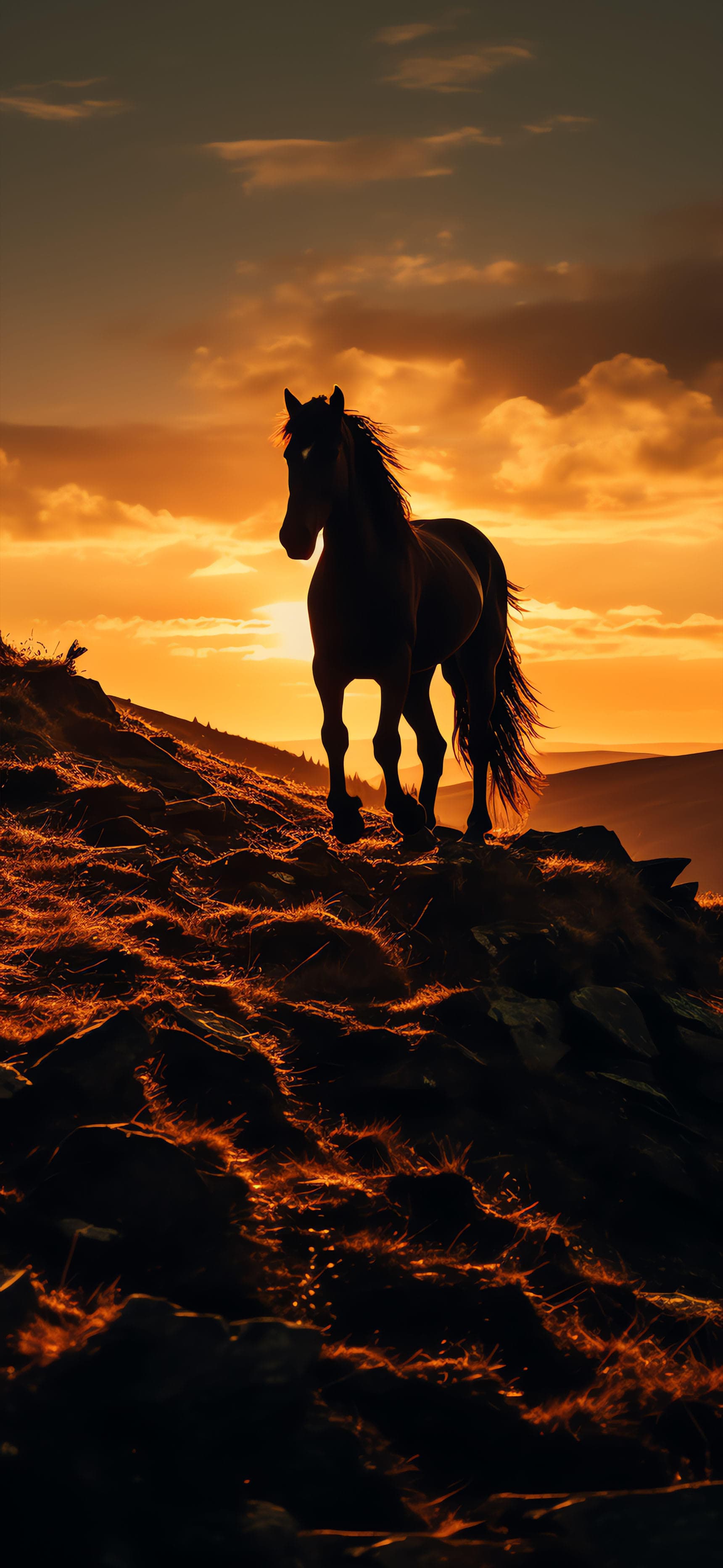 Golden Horse Silhouette - Pro phone wallpaper