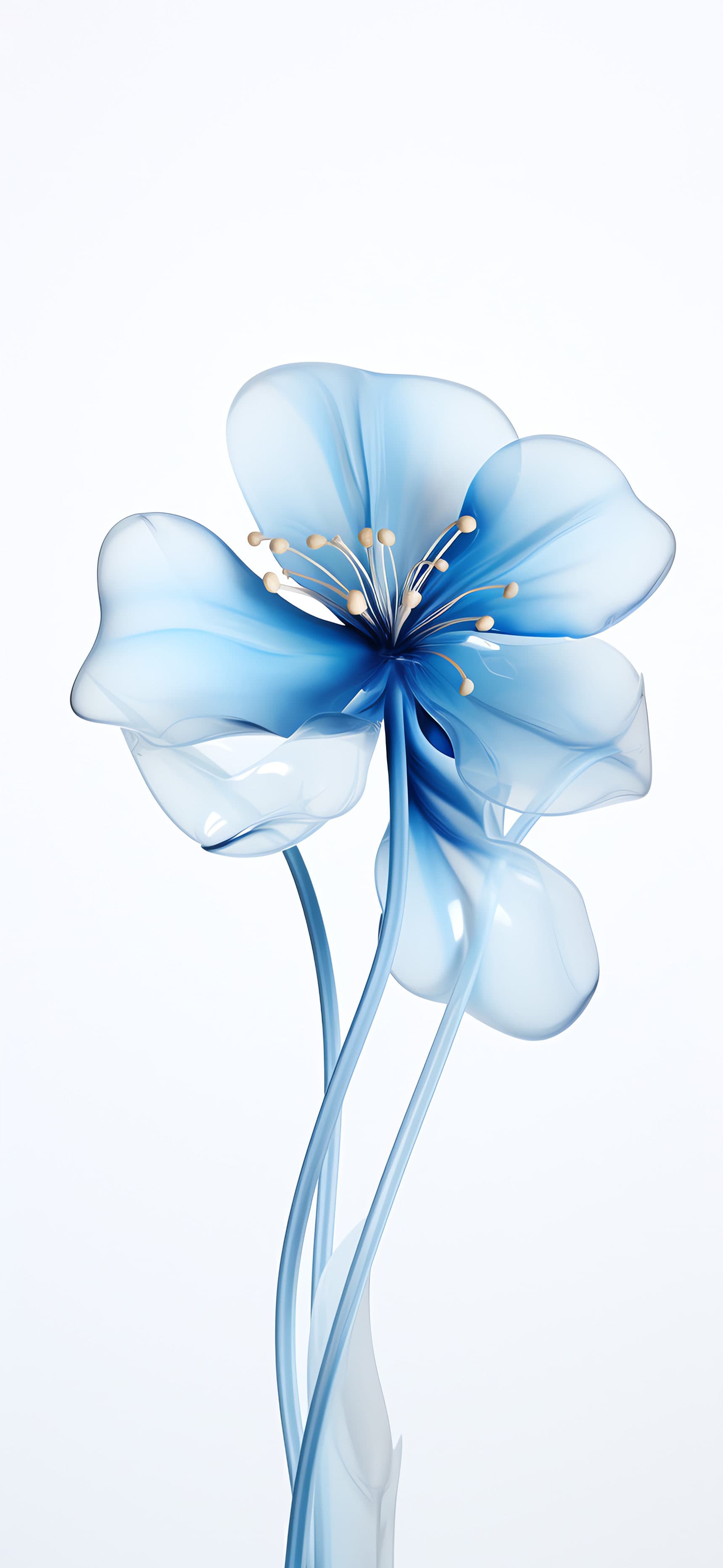 Translucent Blue Bloom - Pro phone wallpaper
