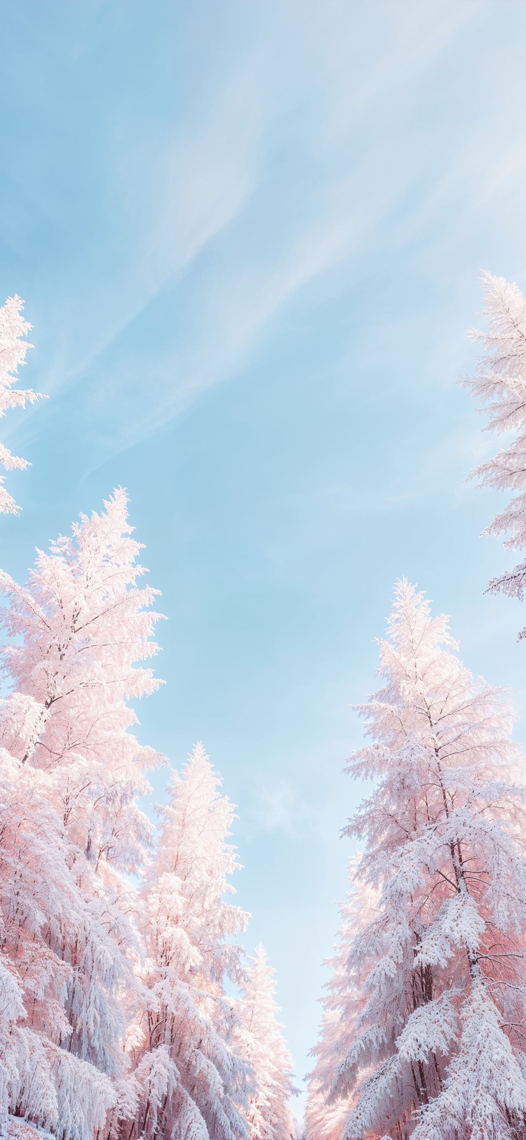 Frosted Canopy - Pro phone wallpaper