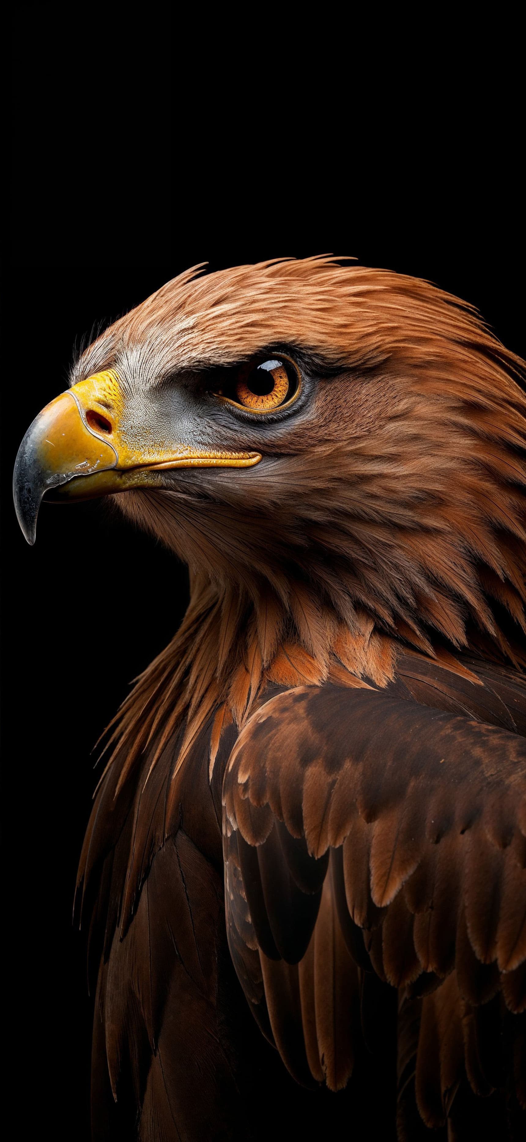 Golden Eagle Portrait - Pro phone wallpaper