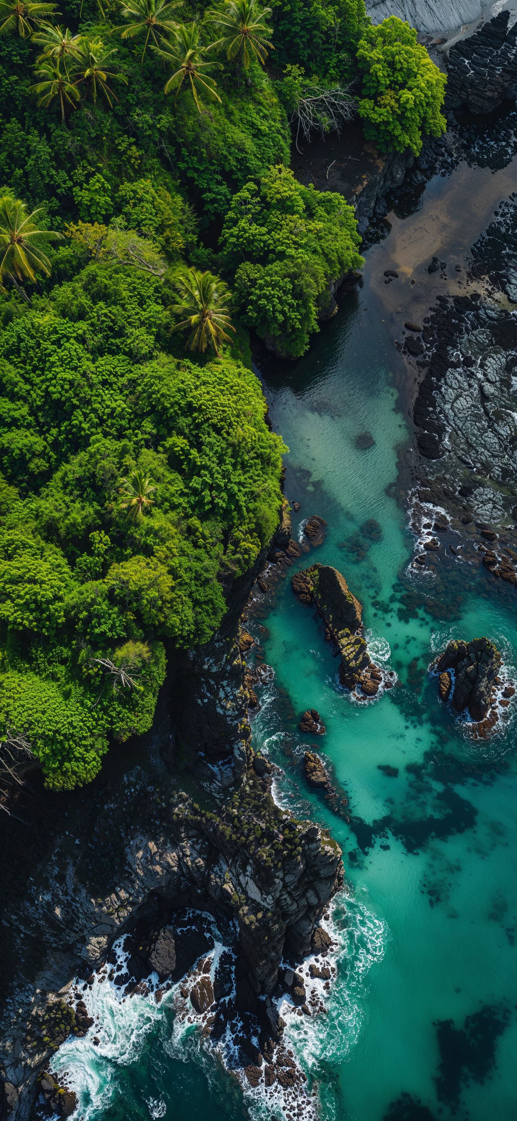 Tropical Coastline - Pro phone wallpaper