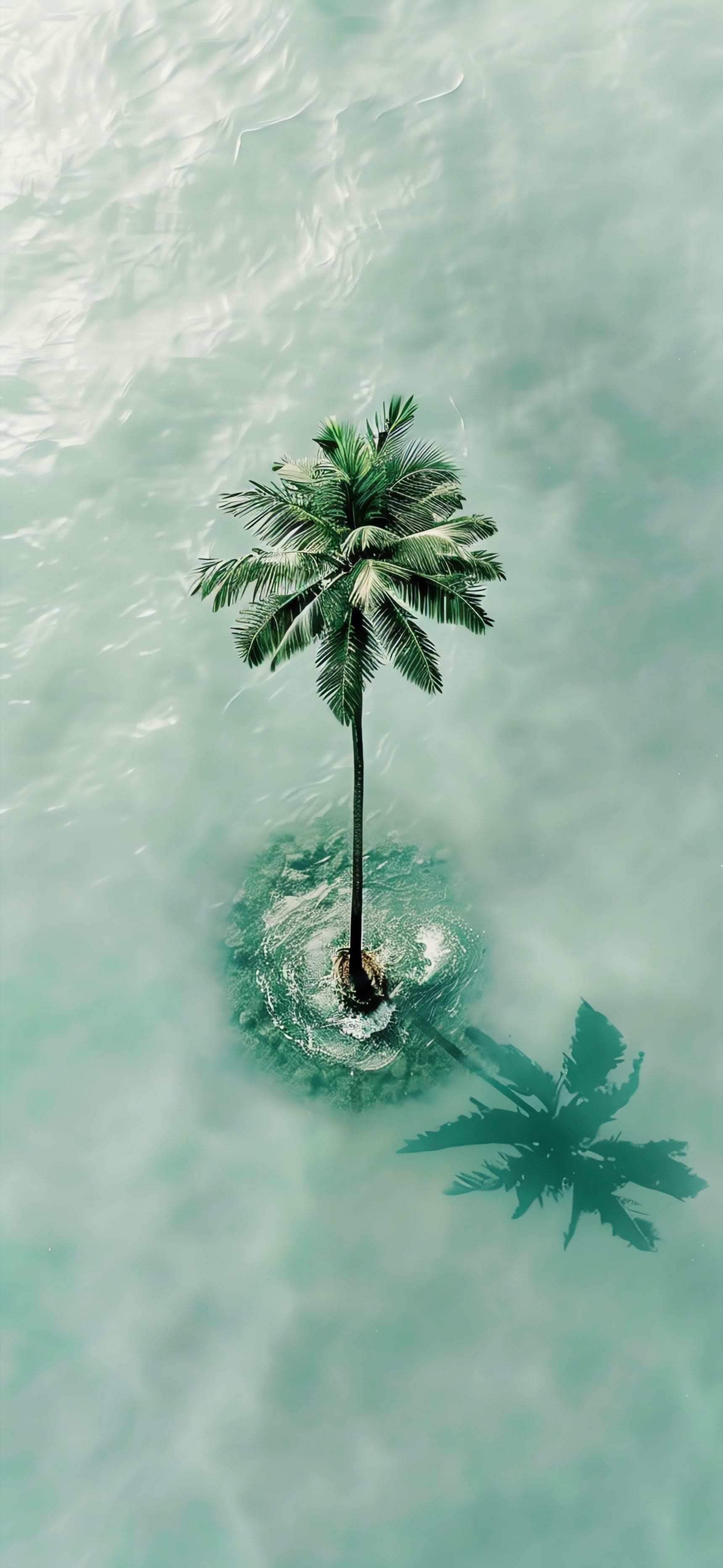 Solitary Palm Island - Pro phone wallpaper
