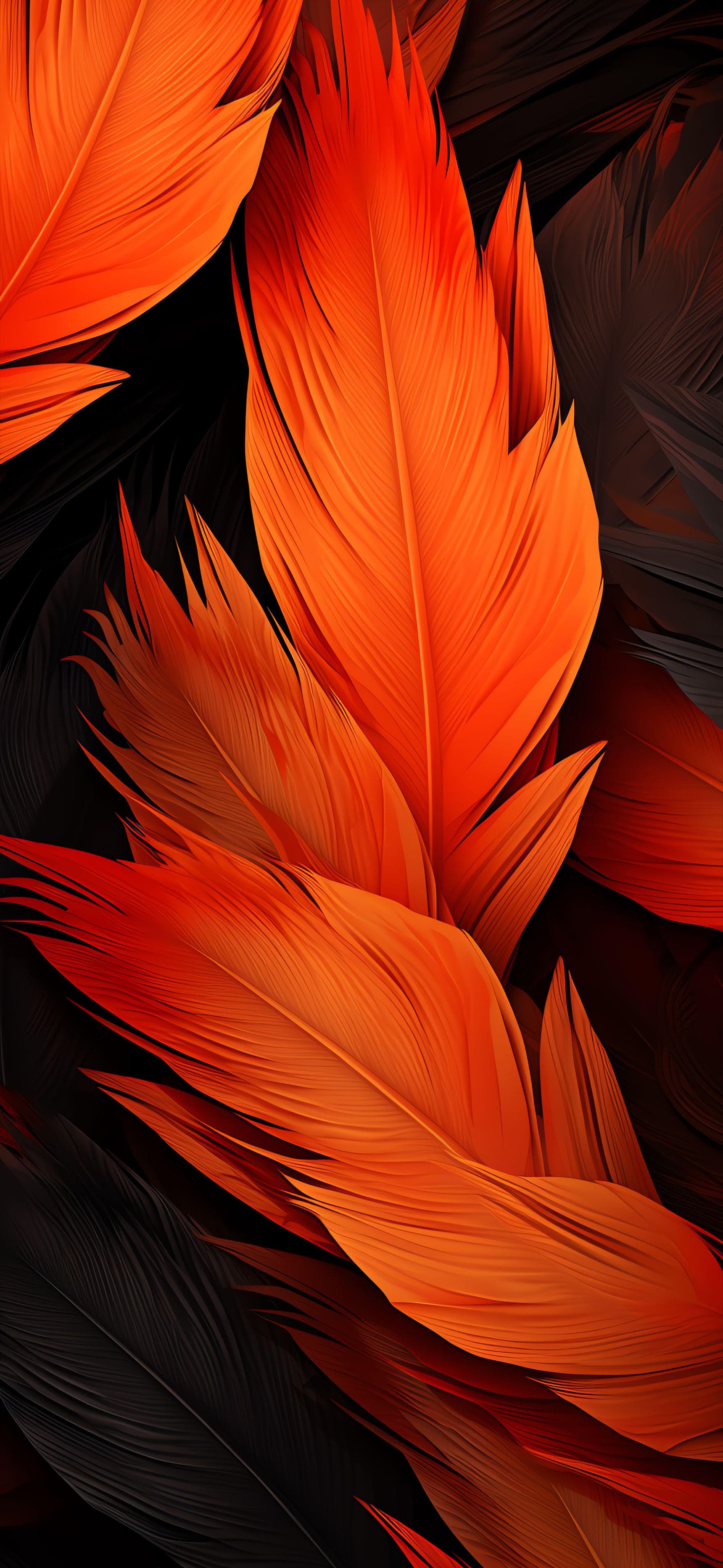 Orange Feather Plumes - Pro phone wallpaper