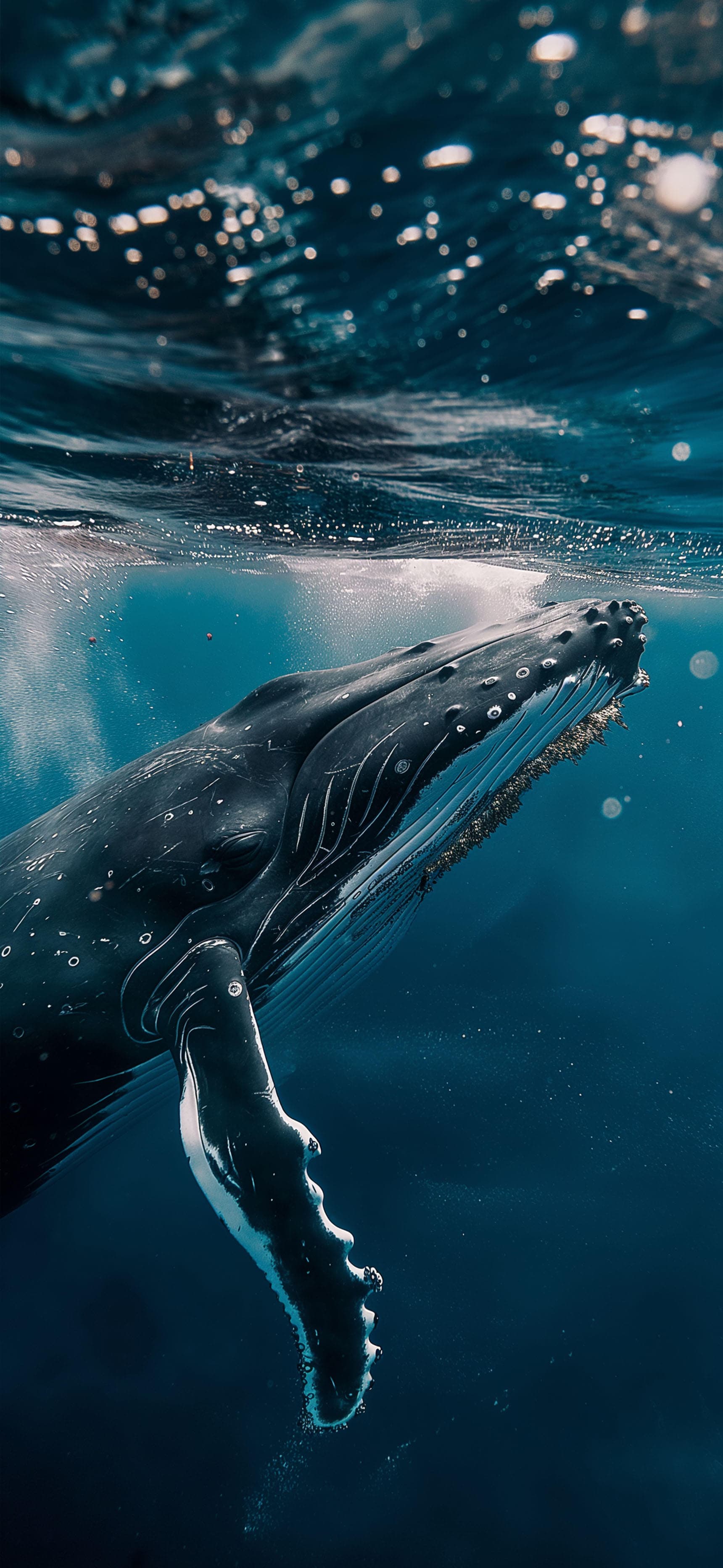 Underwater Whale Majesty - Pro phone wallpaper
