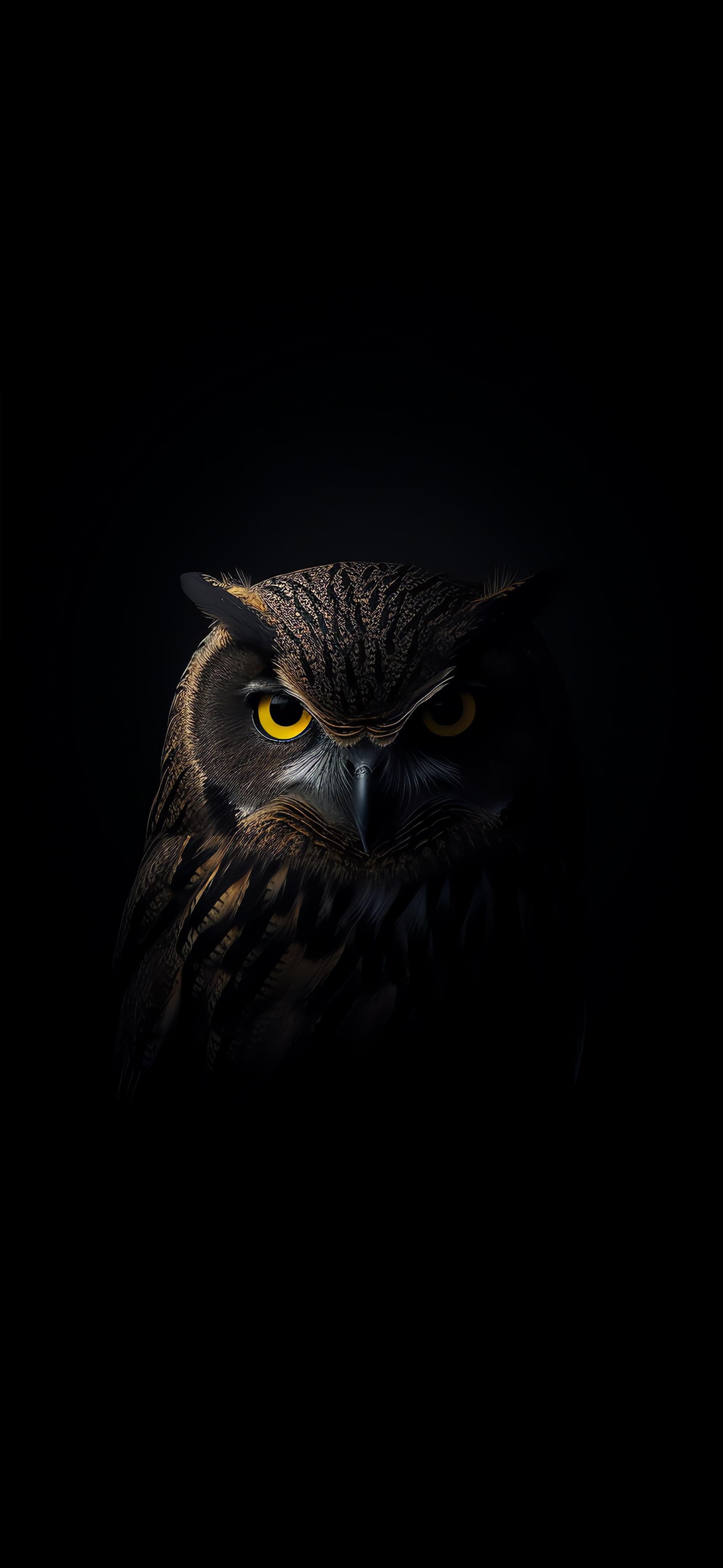 Owl Gaze Darkness - Pro phone wallpaper