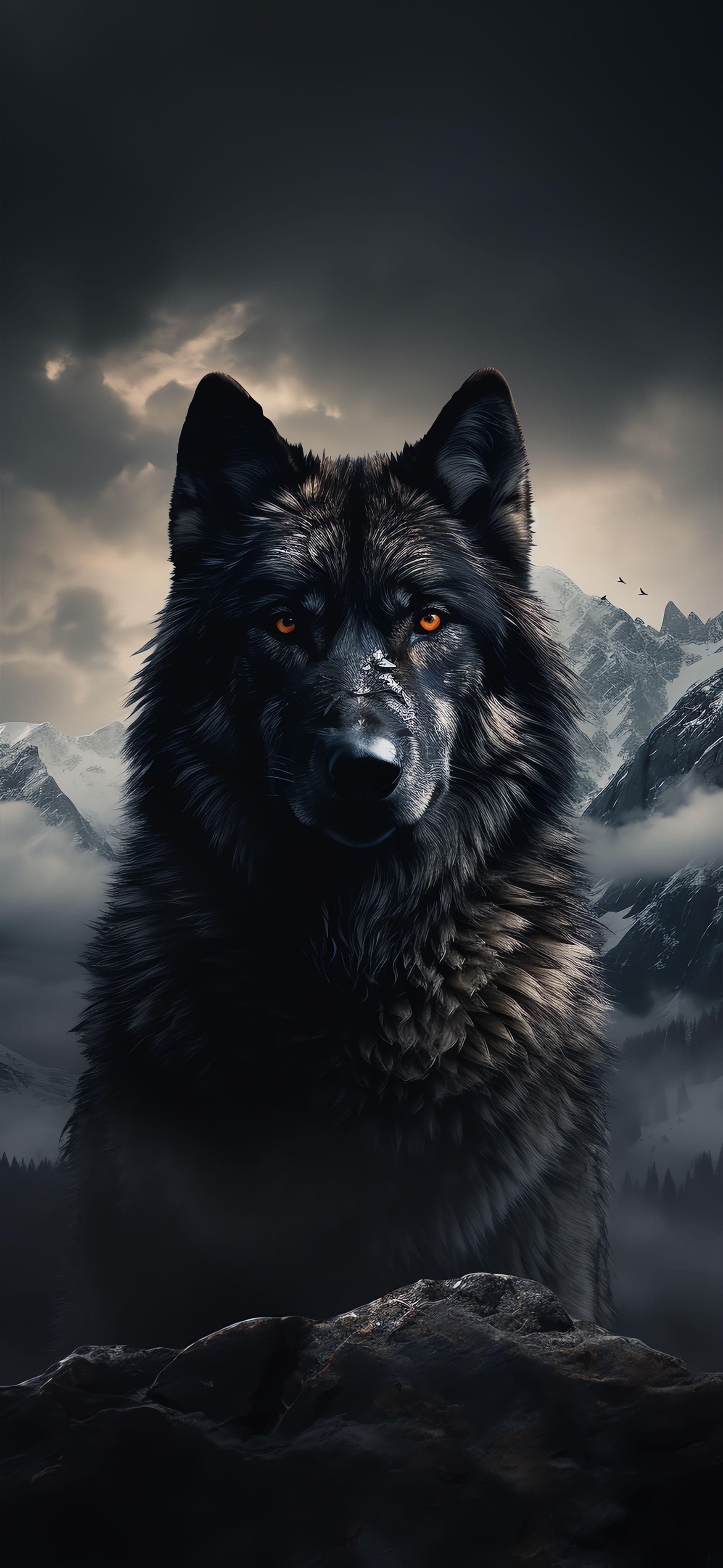 Black Wolf - Pro phone wallpaper