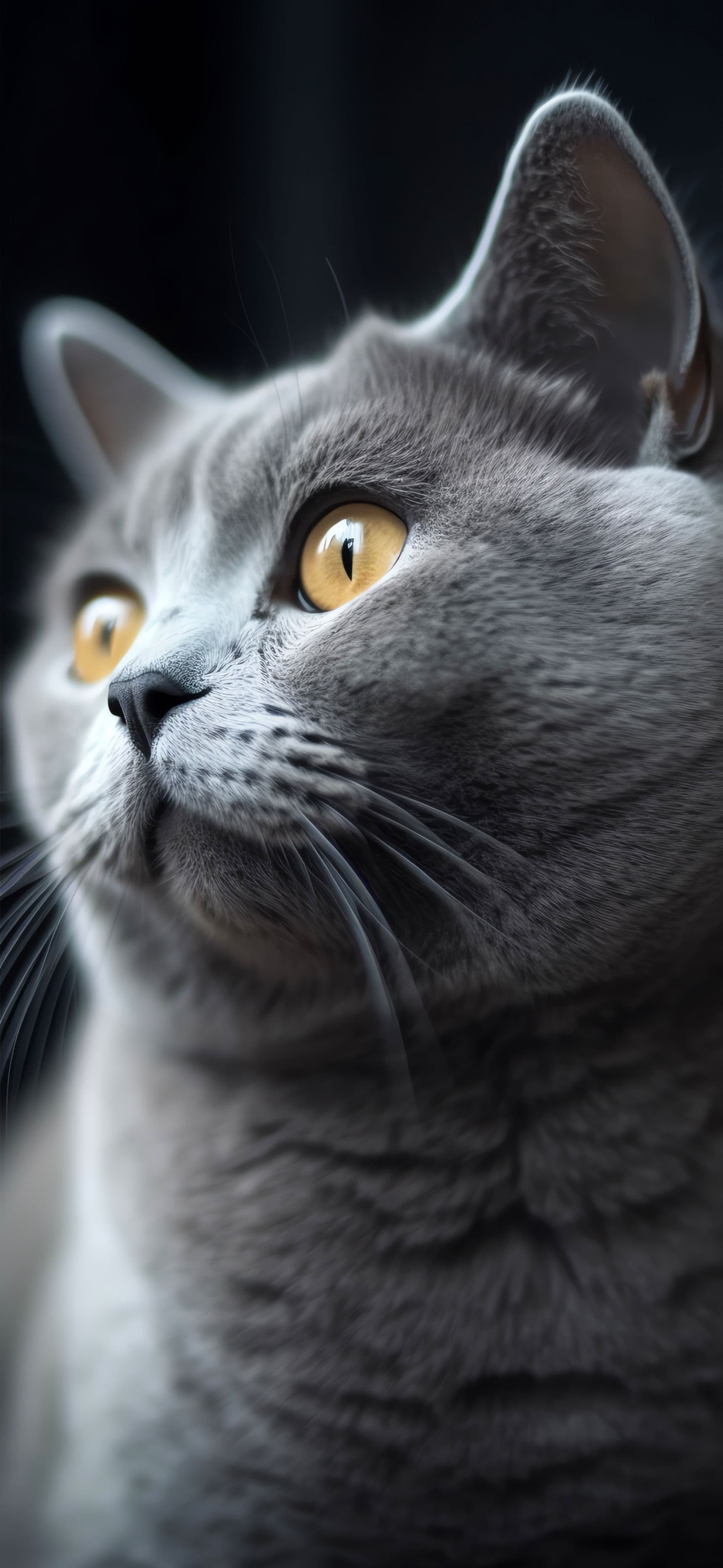 Focused Feline - Pro phone wallpaper