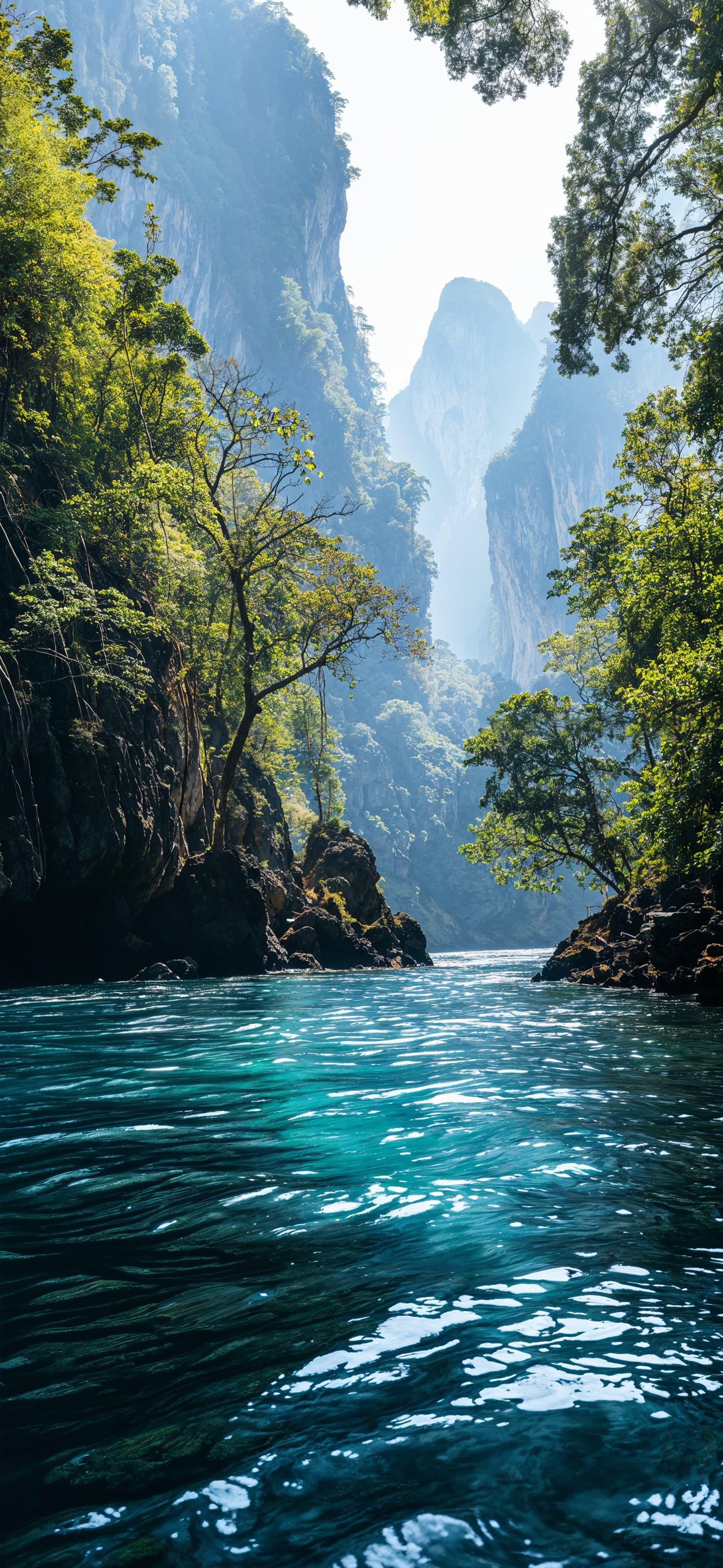 Sunlit Jungle Canopy - Pro phone wallpaper