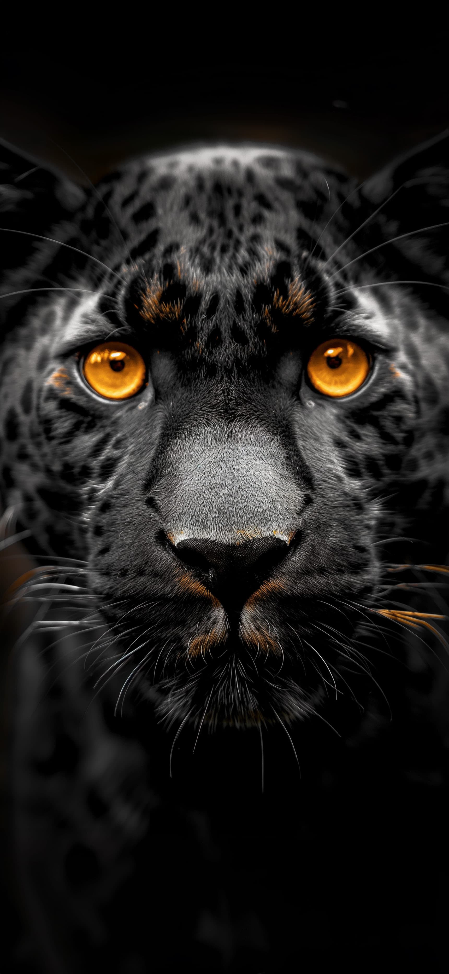 Intense Leopard - Pro phone wallpaper