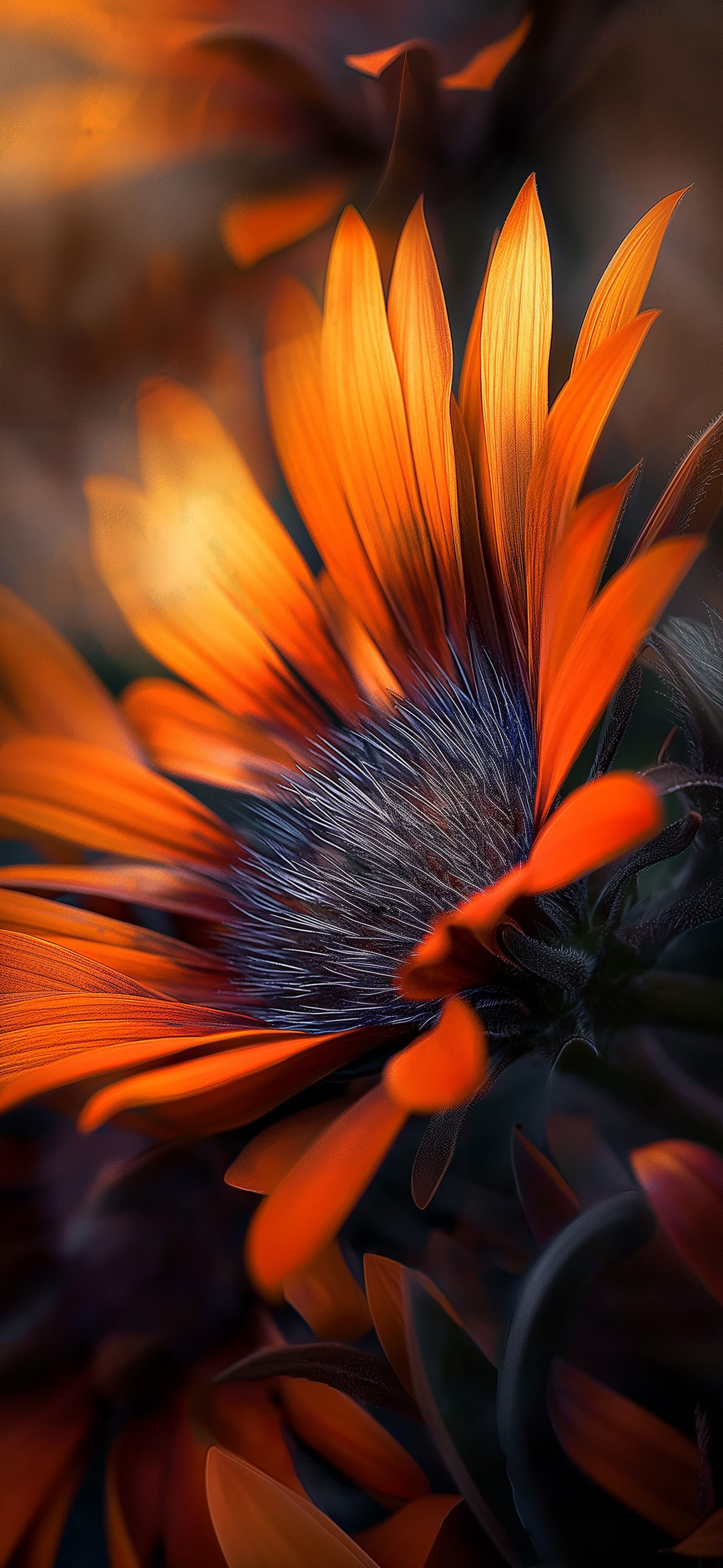 Burnt Orange Bloom - Pro phone wallpaper