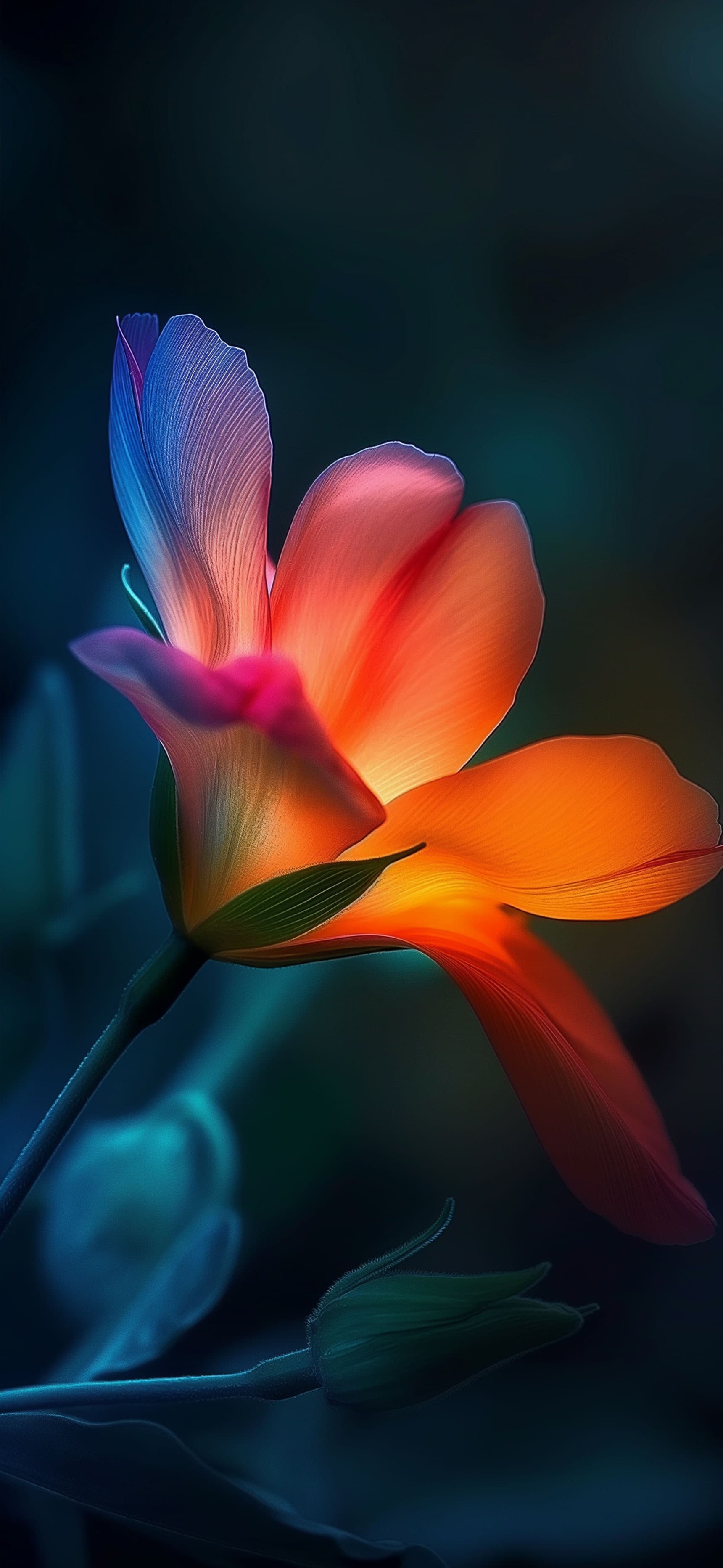 Glowing Petal - Pro phone wallpaper