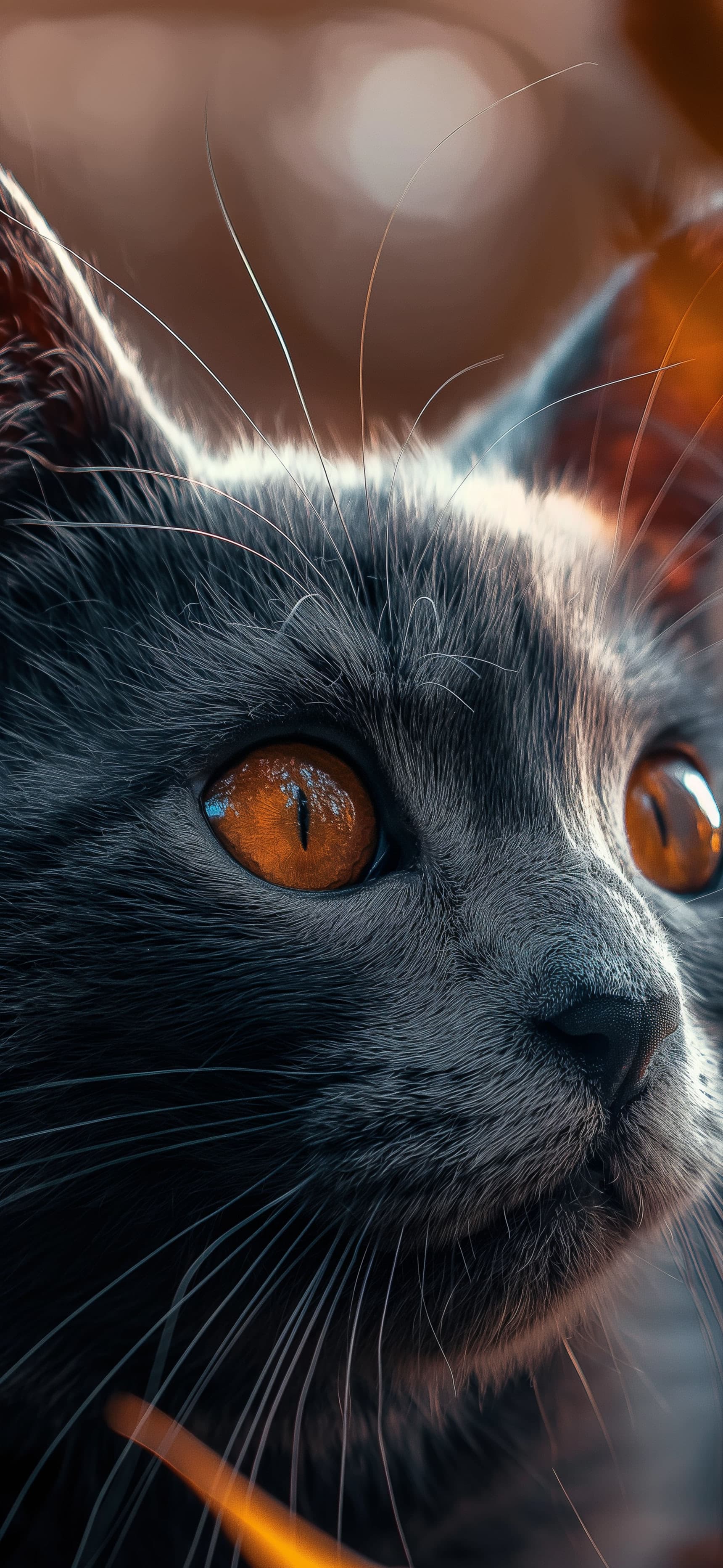Intense Cat Gaze - Pro phone wallpaper