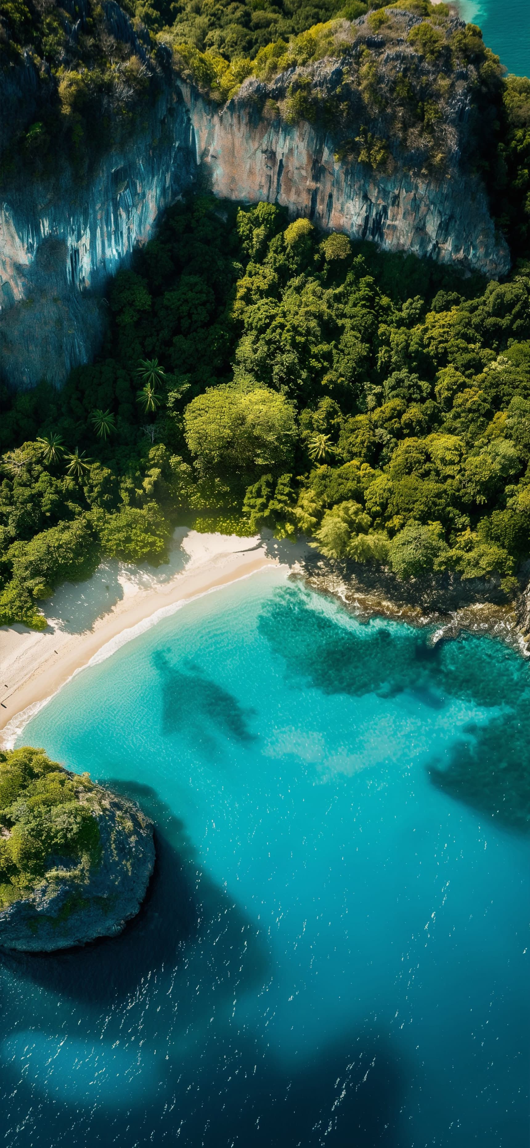 Tropical Beach Paradise - Pro phone wallpaper