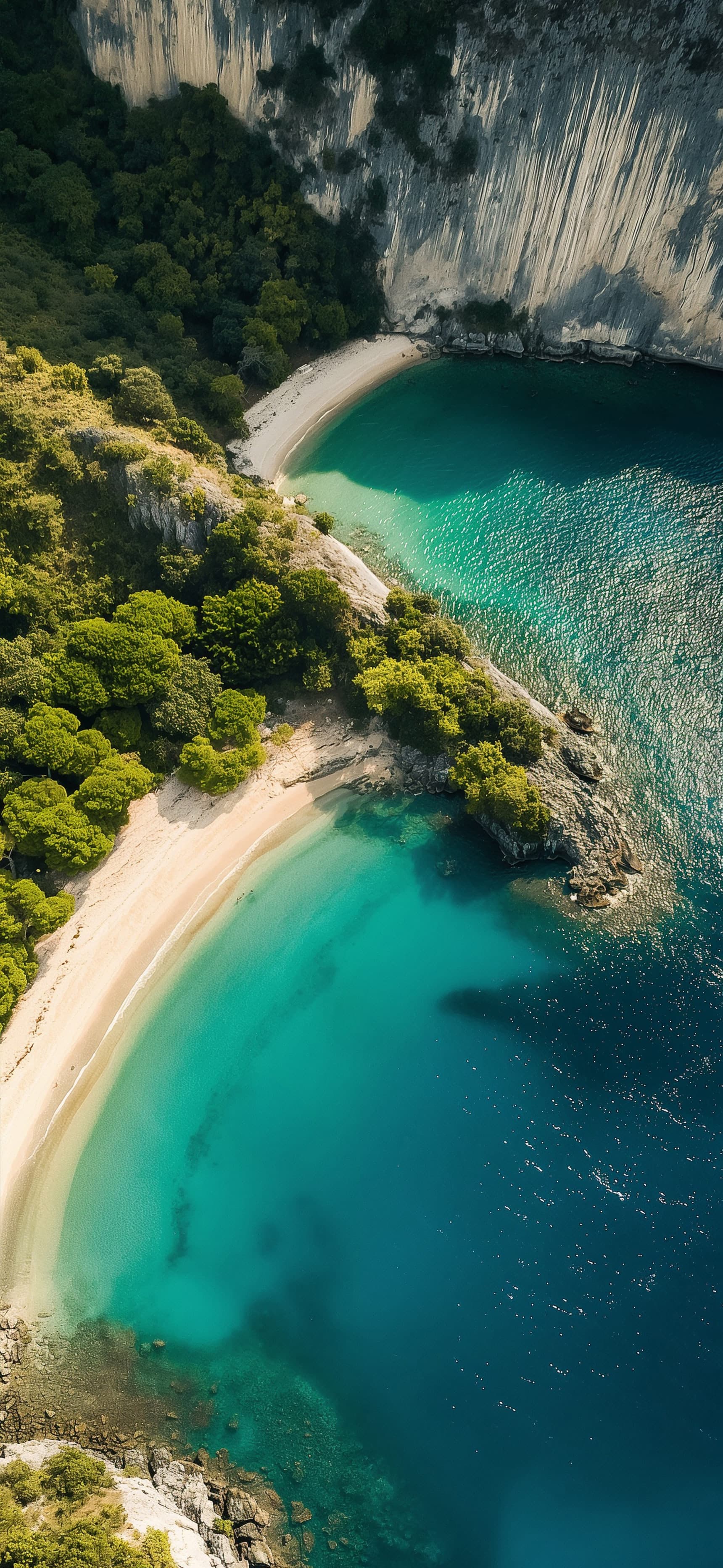 Turquoise Coastal Paradise - Pro phone wallpaper