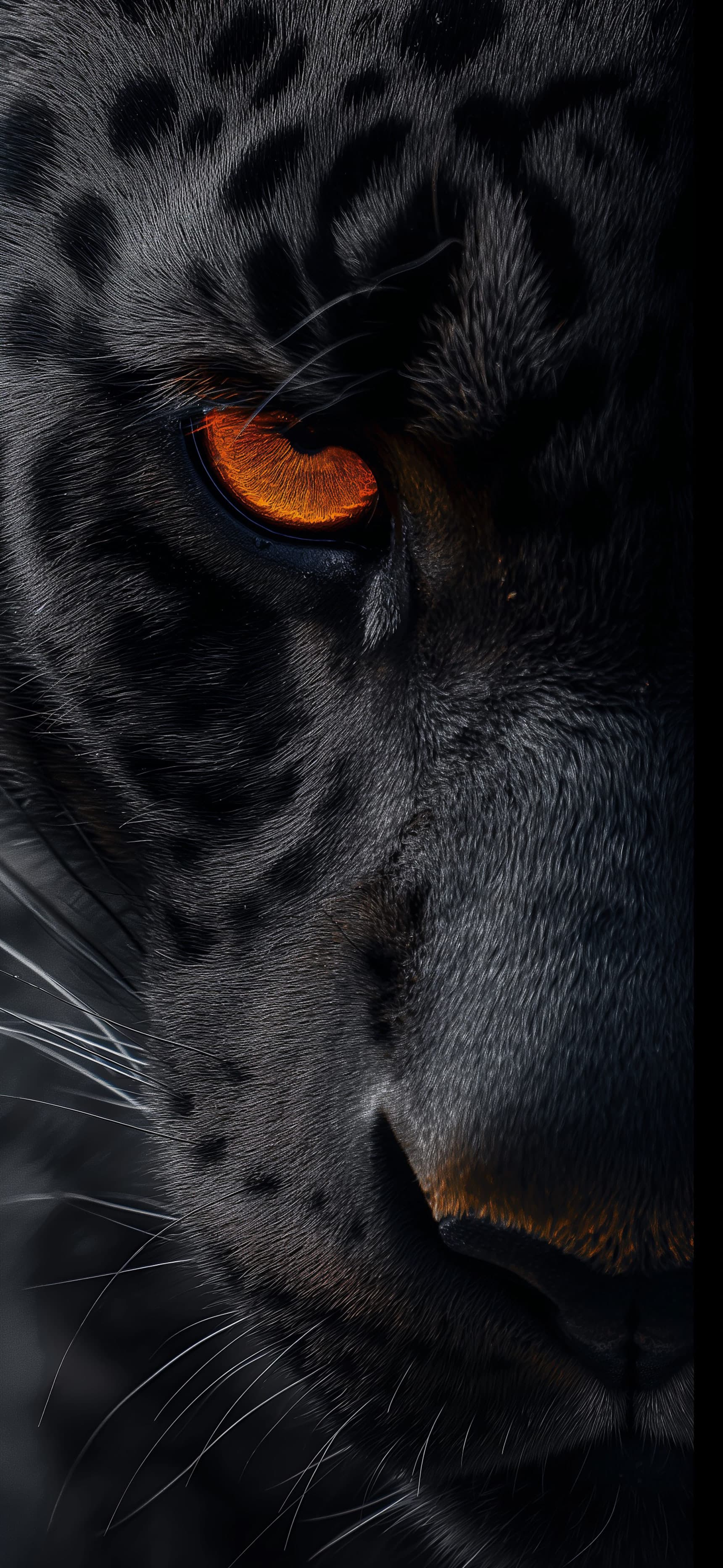 Panther Orange Eye - Pro phone wallpaper