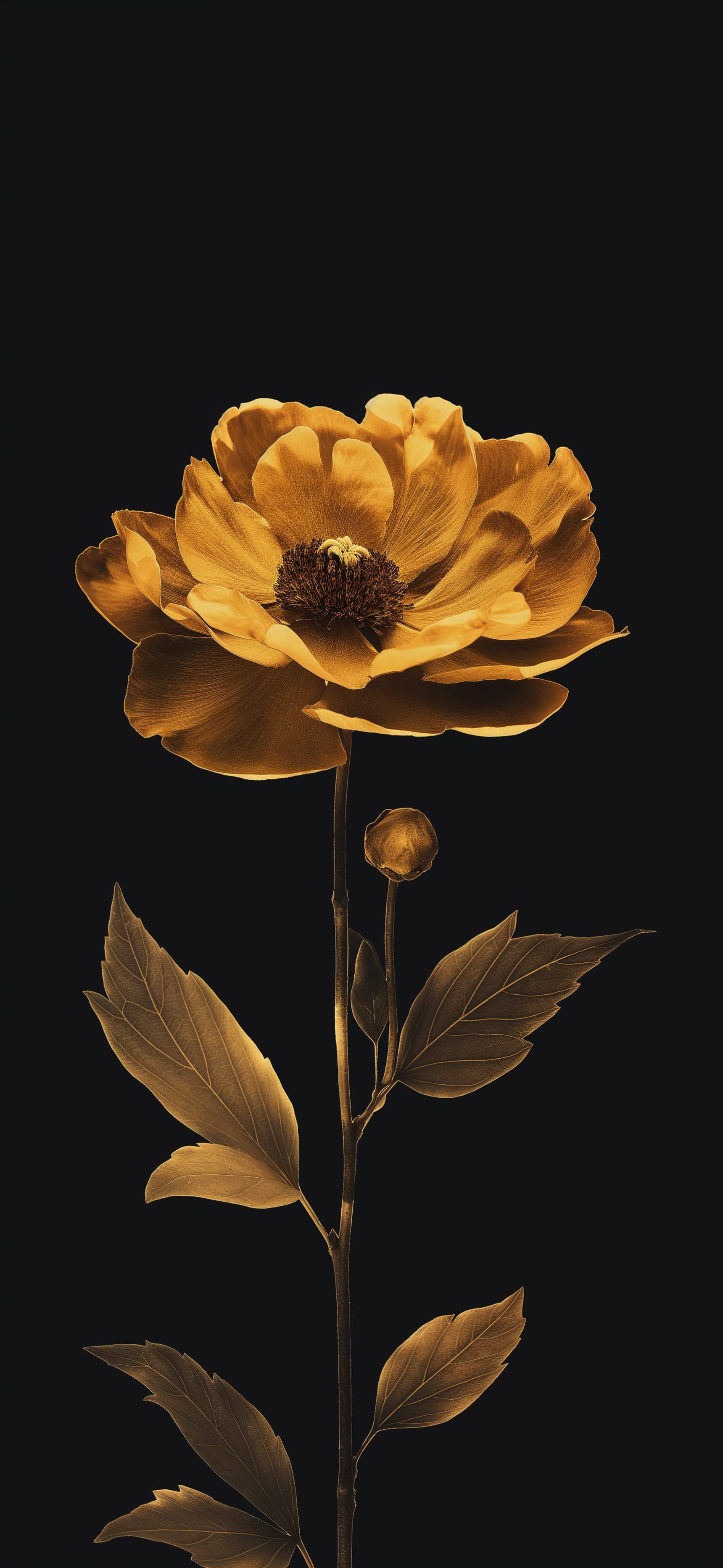 Golden Bloom - Pro phone wallpaper