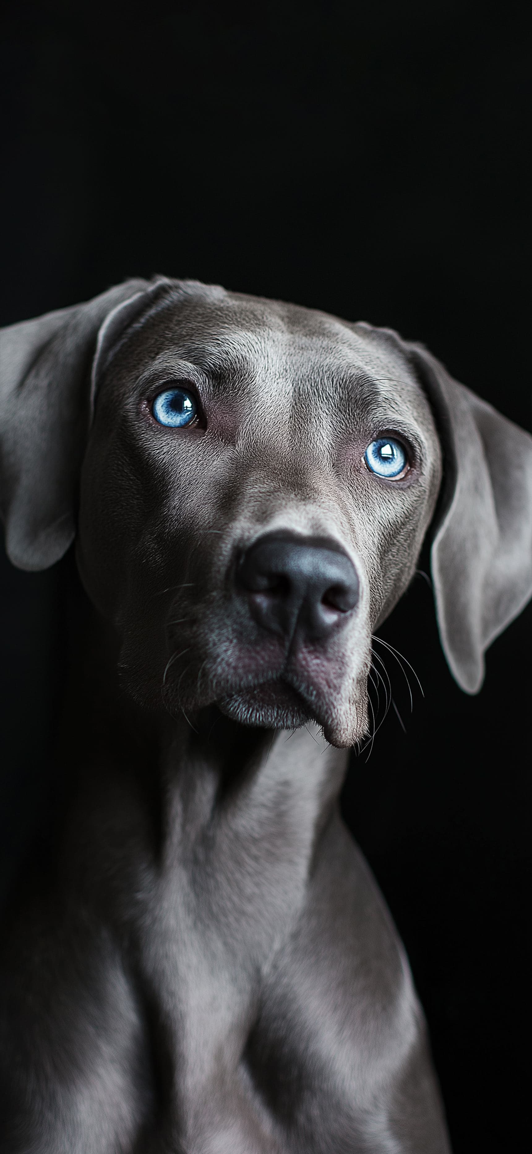 Bluegaze - Pro phone wallpaper